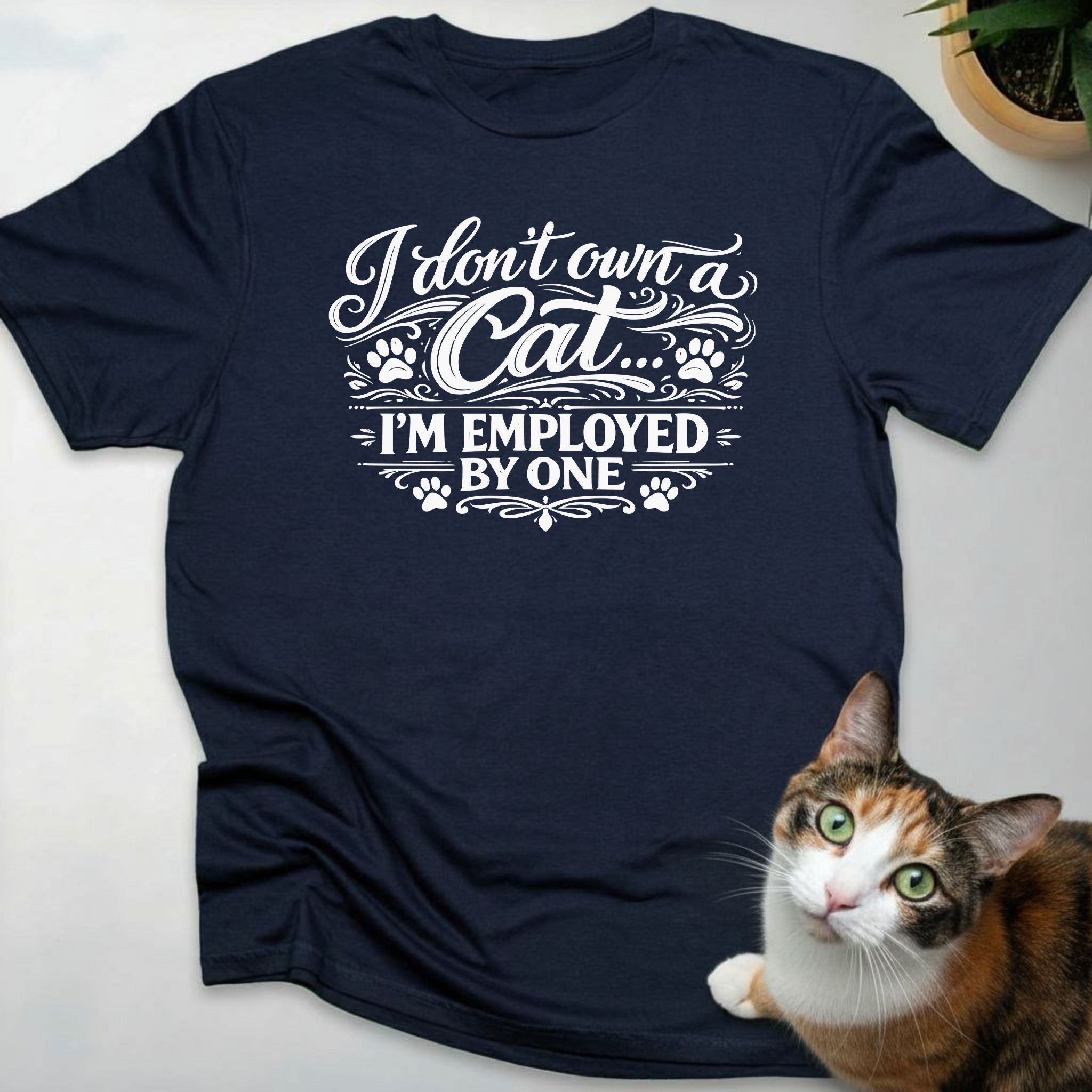 I don't own a cat... I'm employed by one