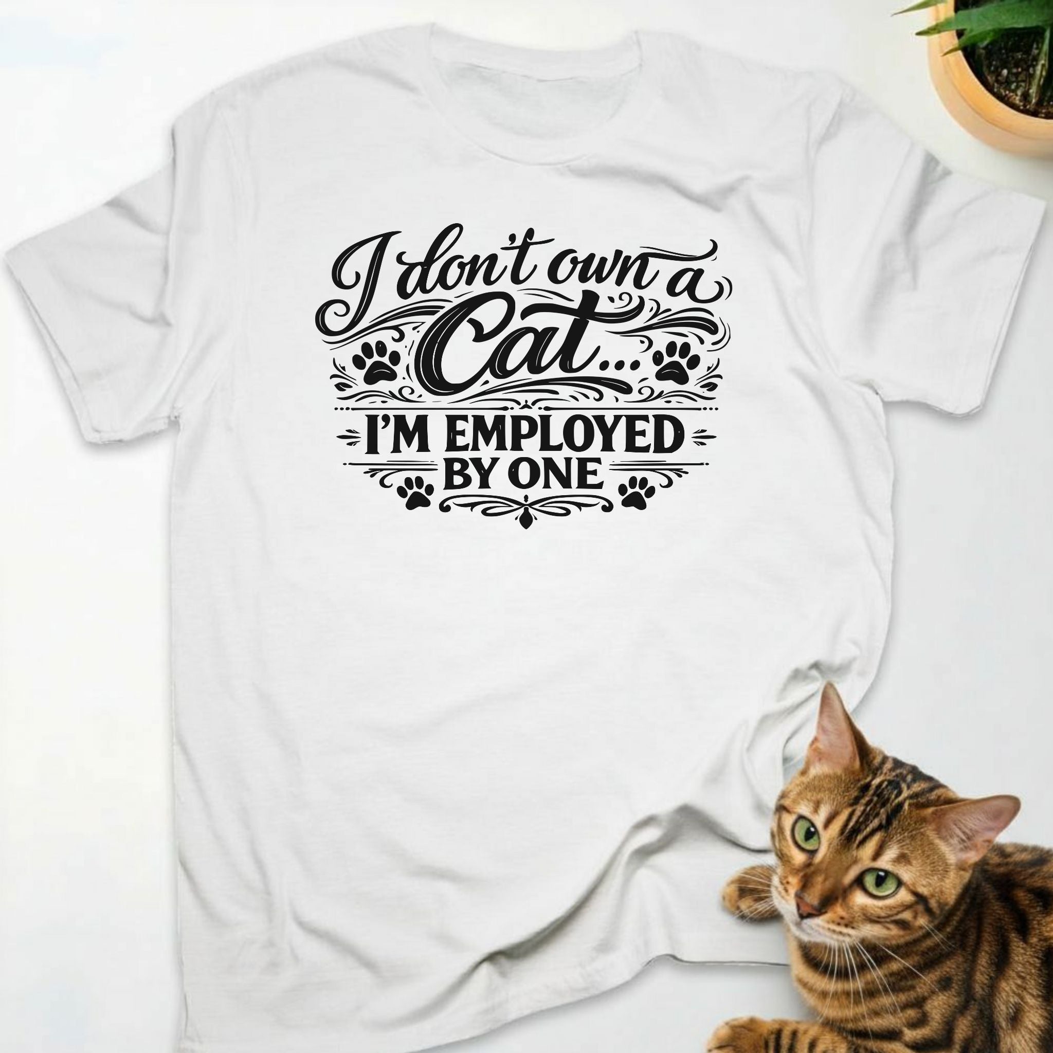 I don't own a cat... I'm employed by one