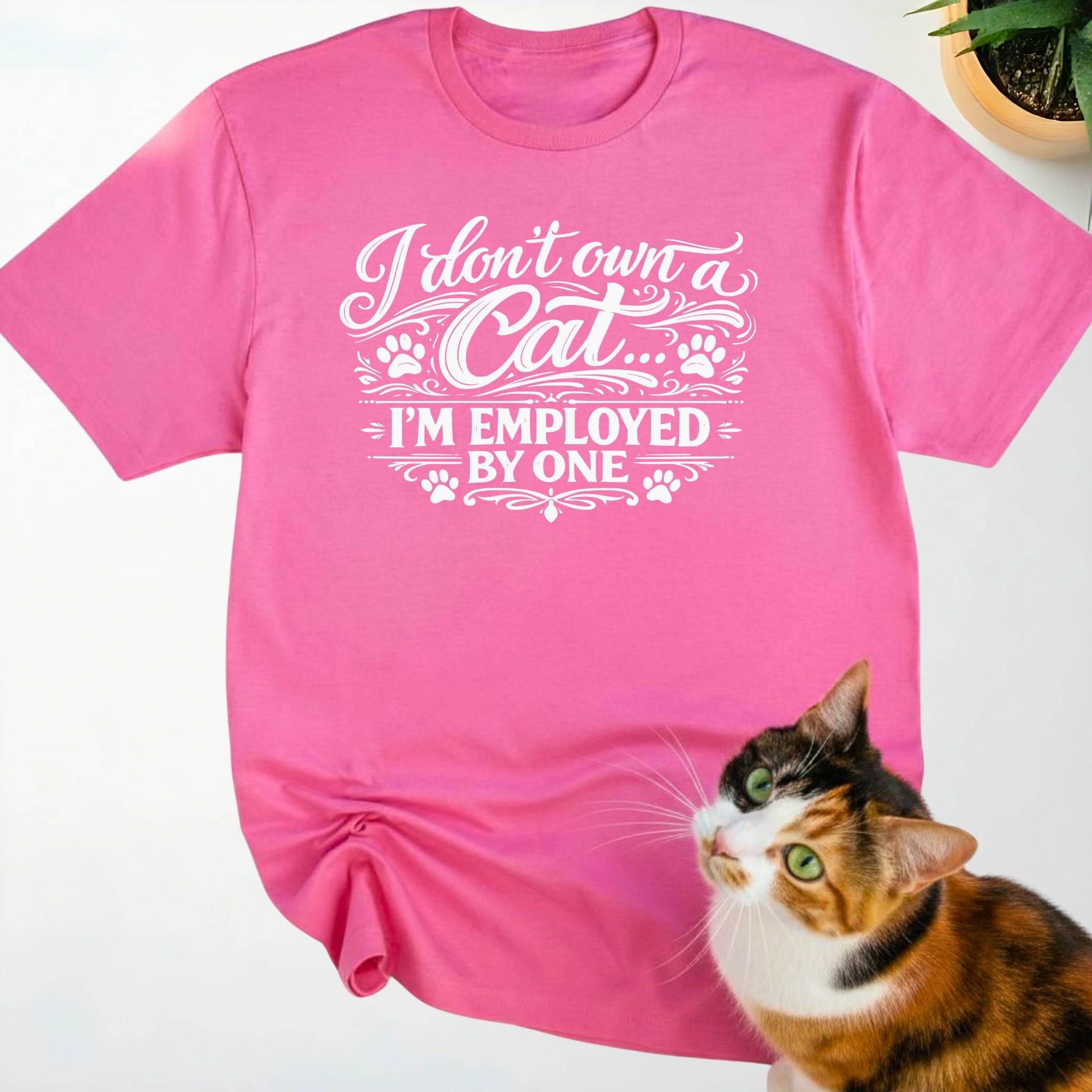I don't own a cat... I'm employed by one