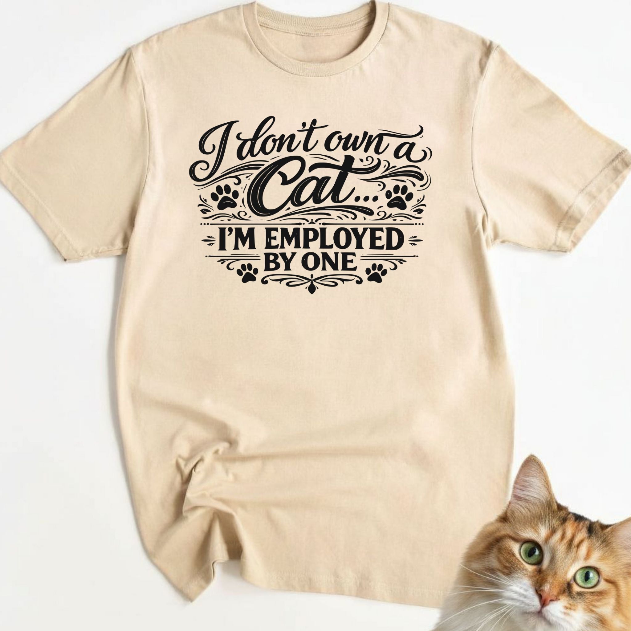 I don't own a cat... I'm employed by one