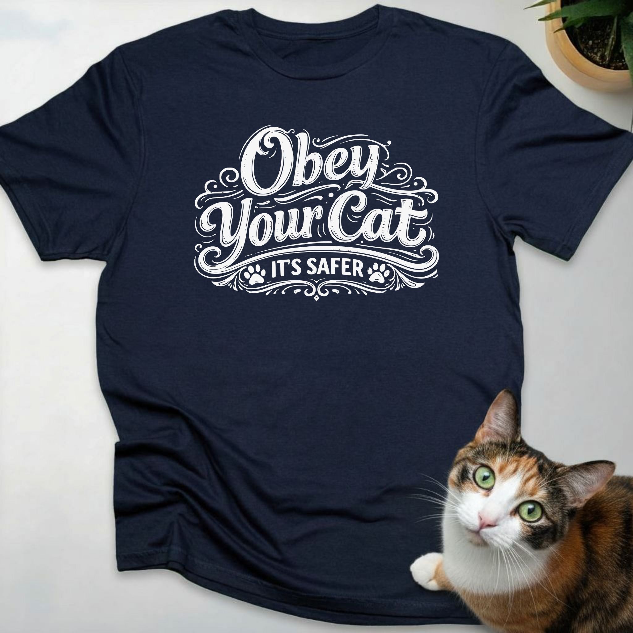 Obey your cat (it's safer)