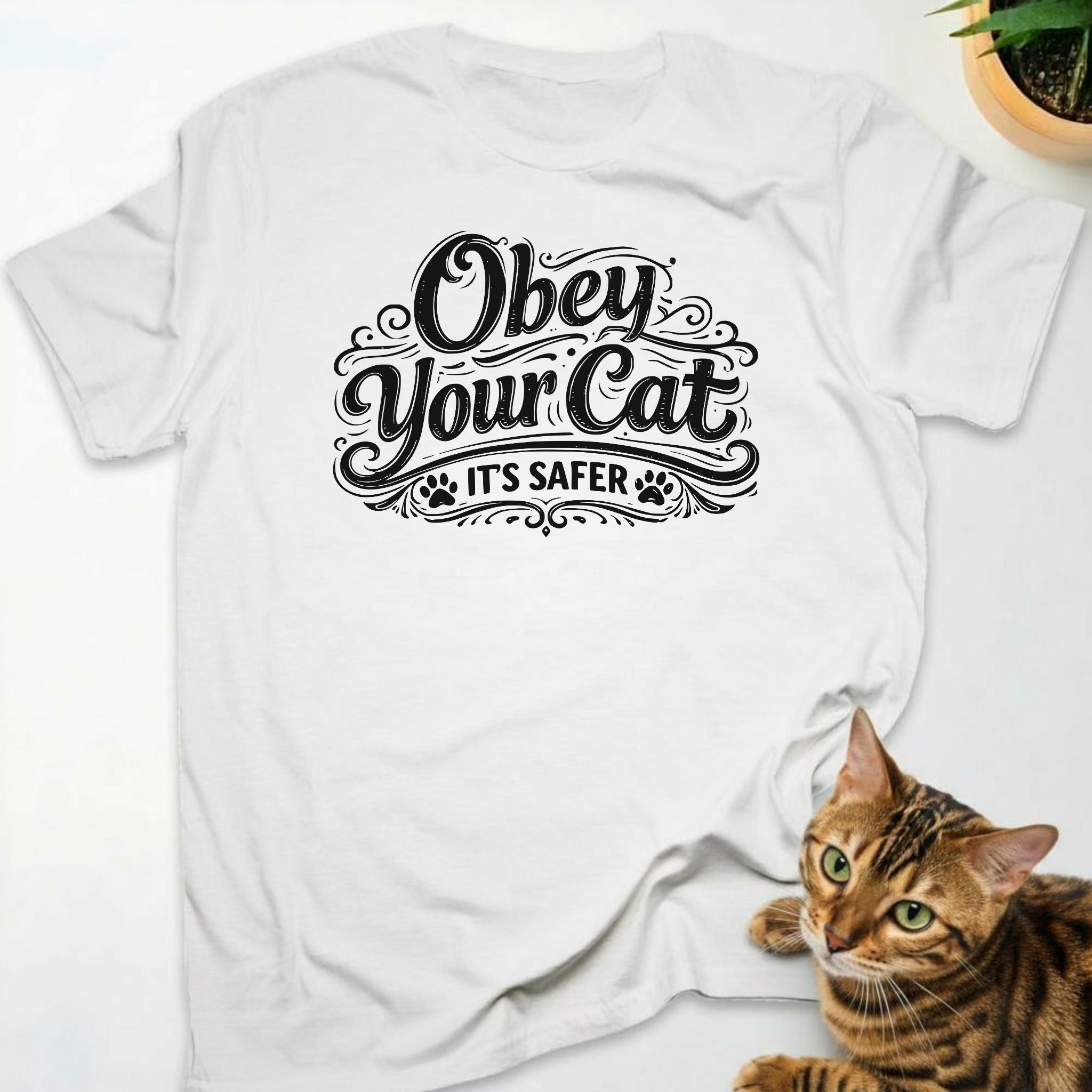 Obey your cat (it's safer)