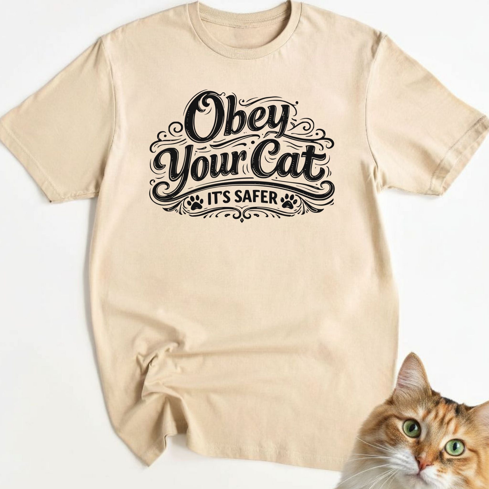 Obey your cat (it's safer)