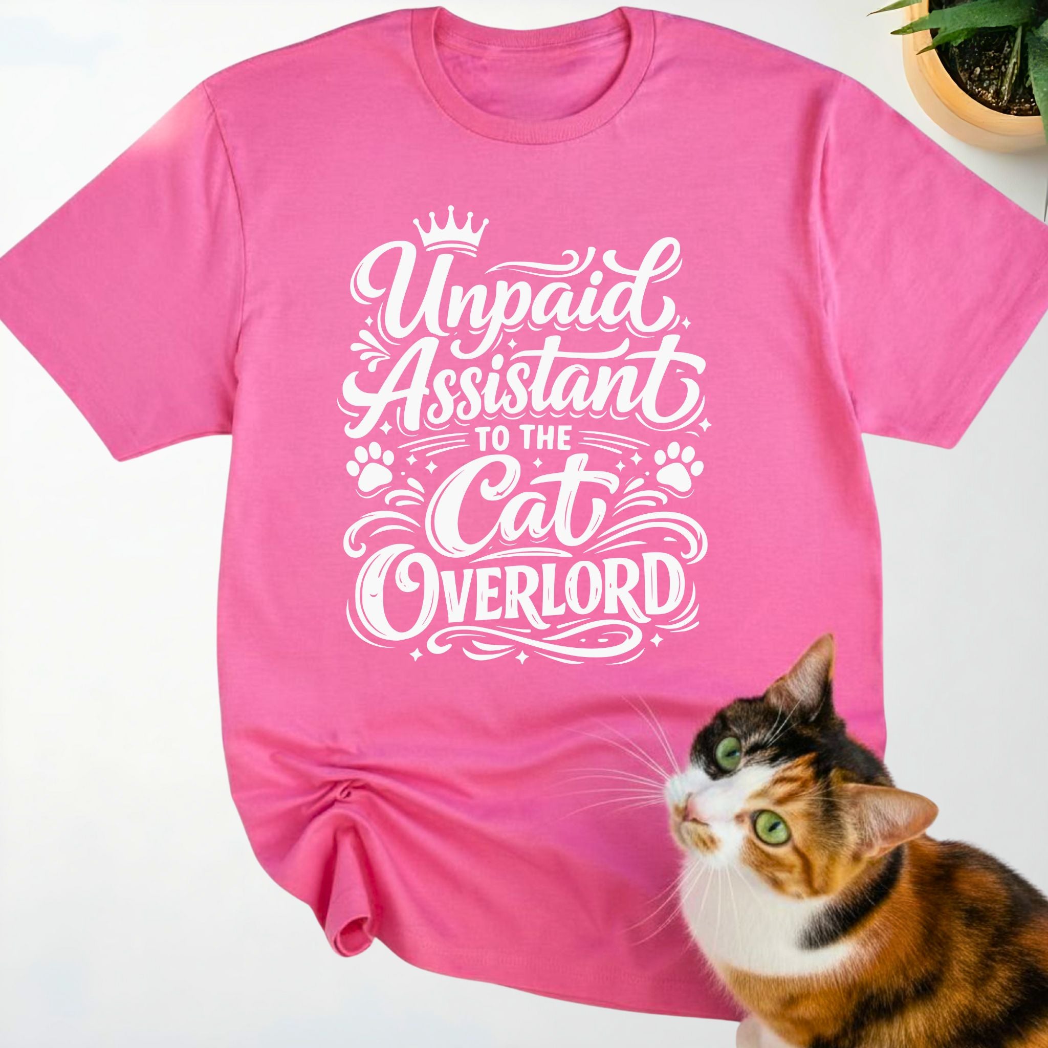 Unpaid assistant to the cat overlord