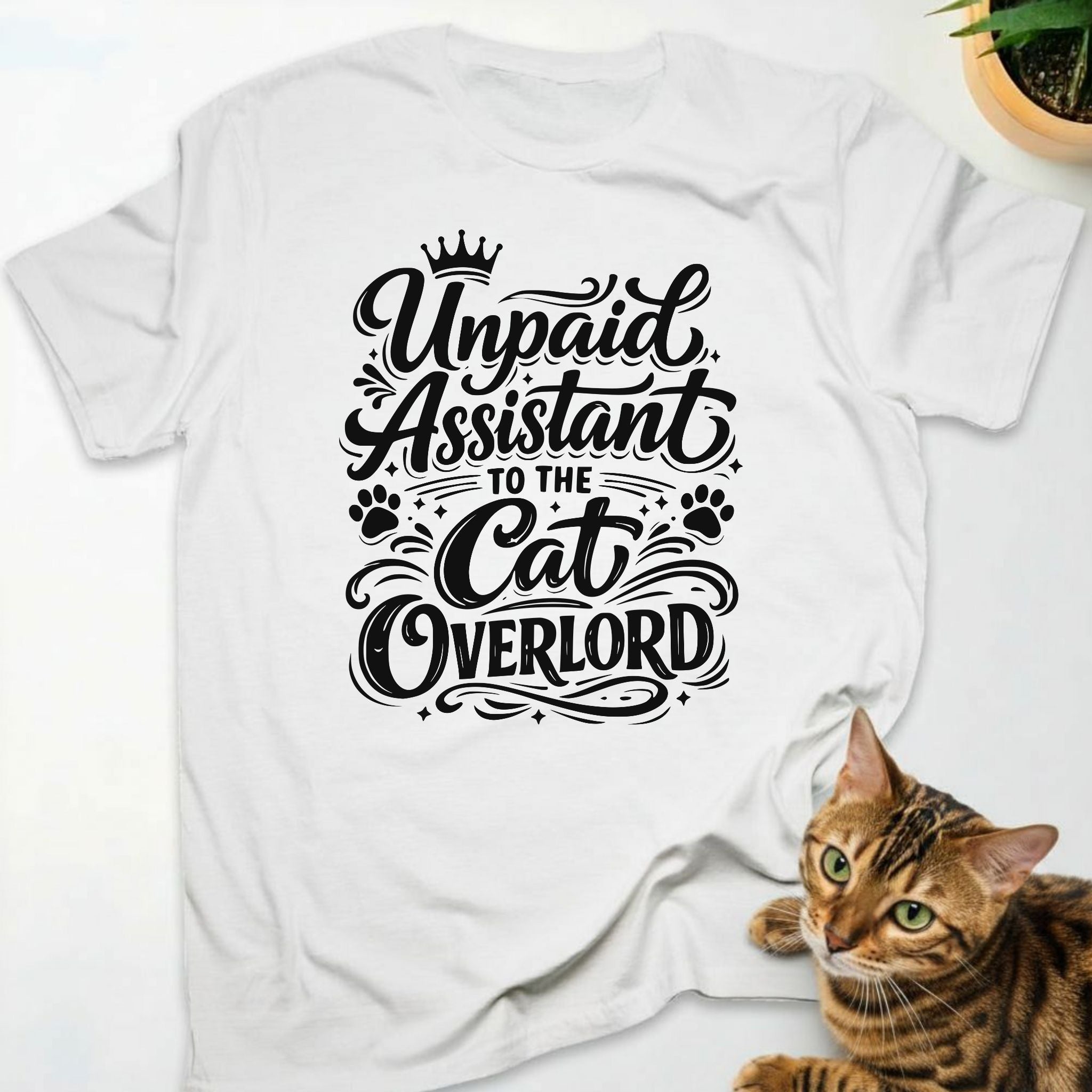 Unpaid assistant to the cat overlord