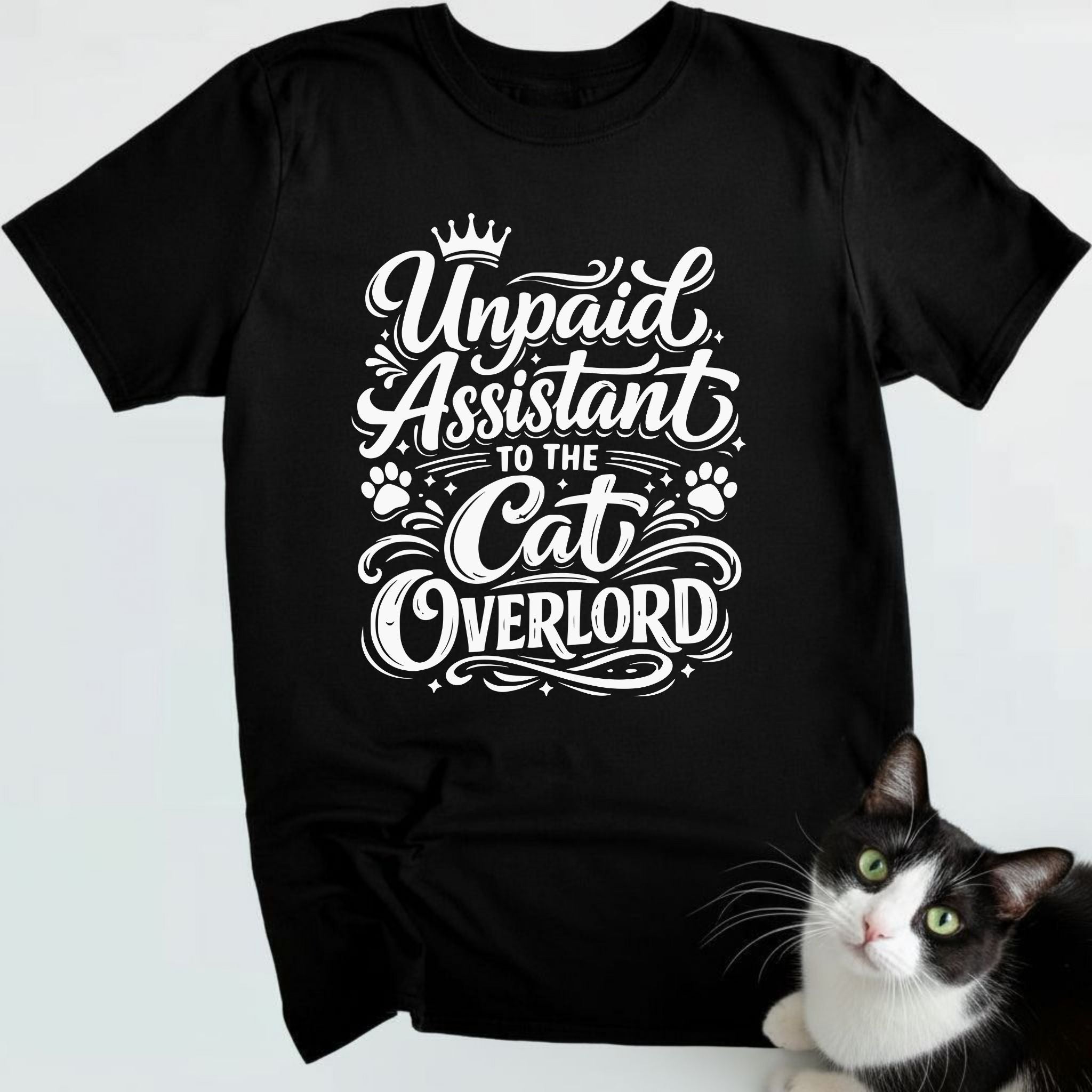 Unpaid assistant to the cat overlord