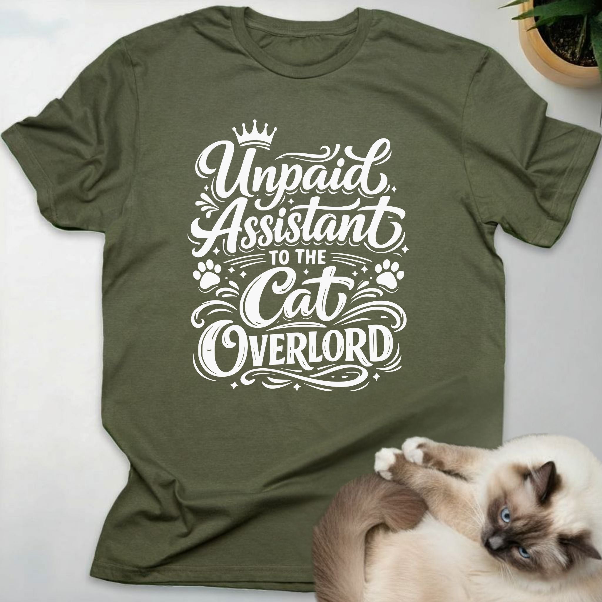 Unpaid assistant to the cat overlord