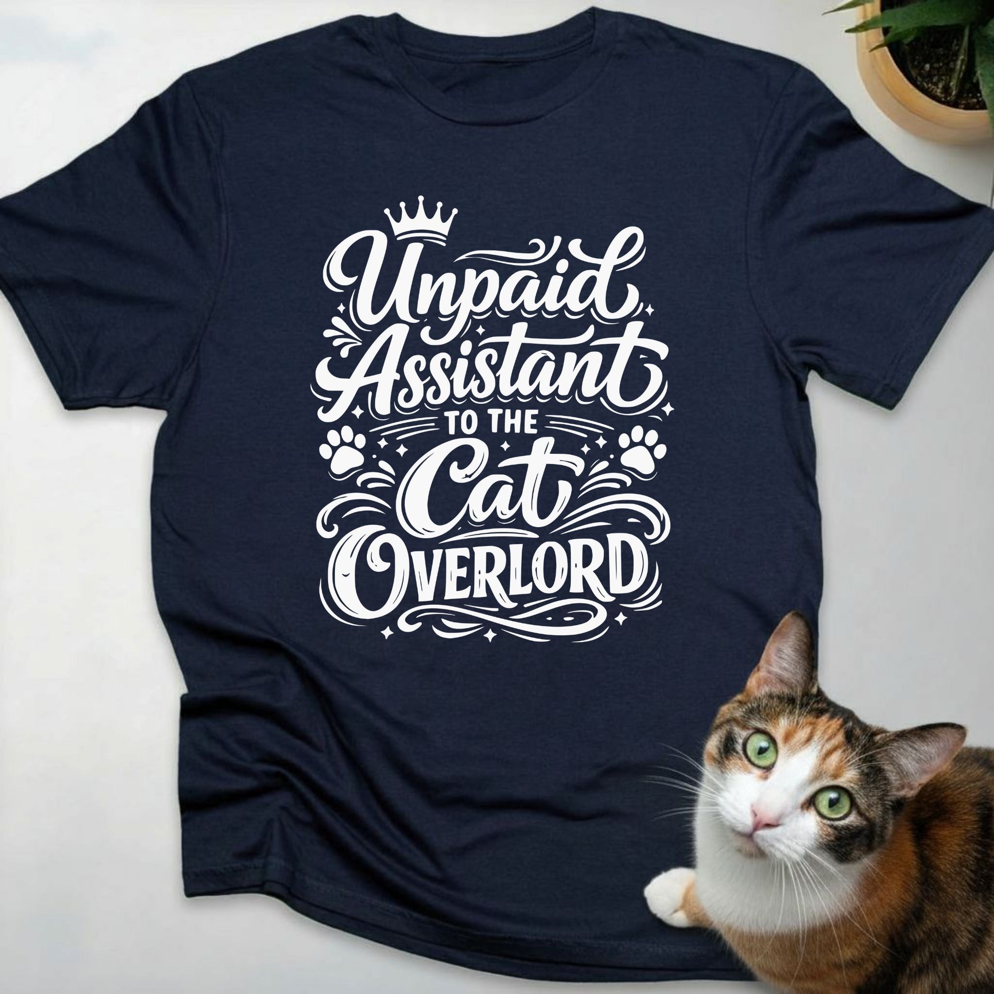 Unpaid assistant to the cat overlord