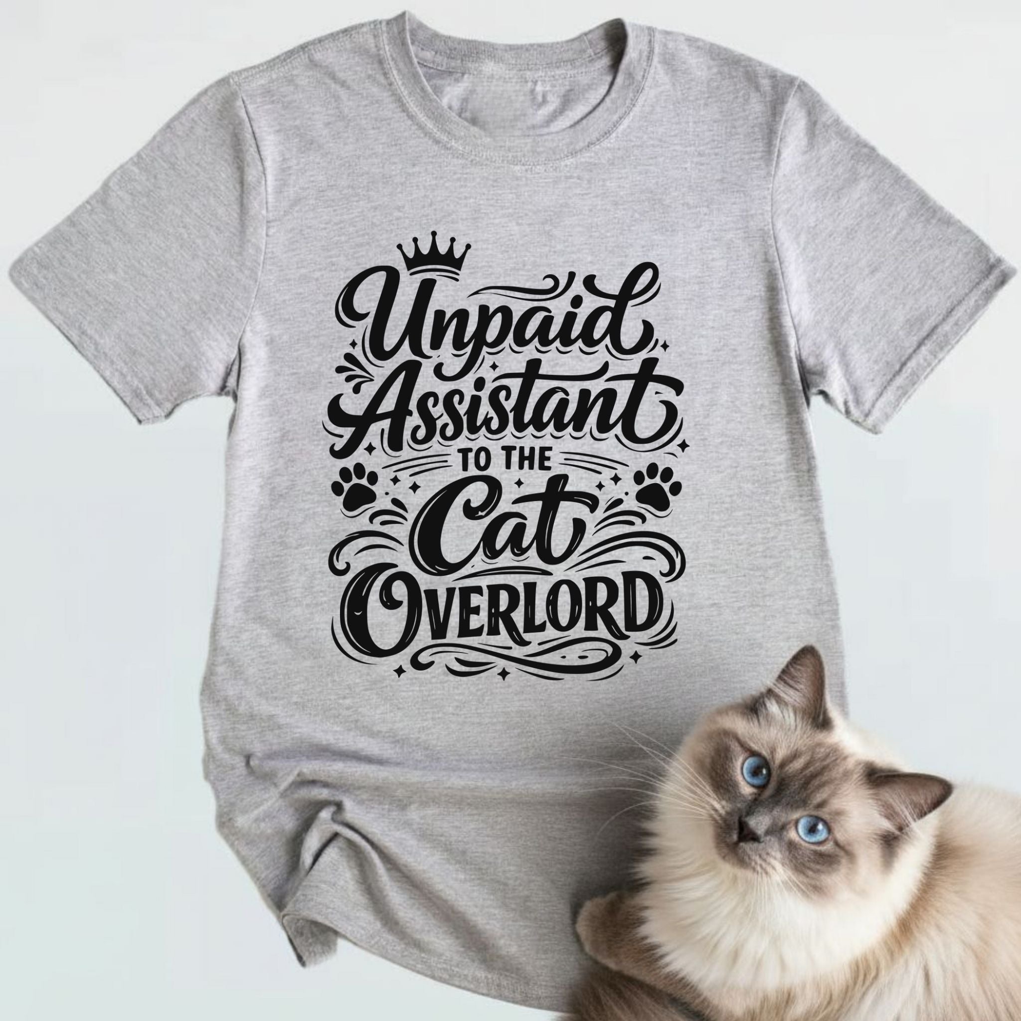 Unpaid assistant to the cat overlord