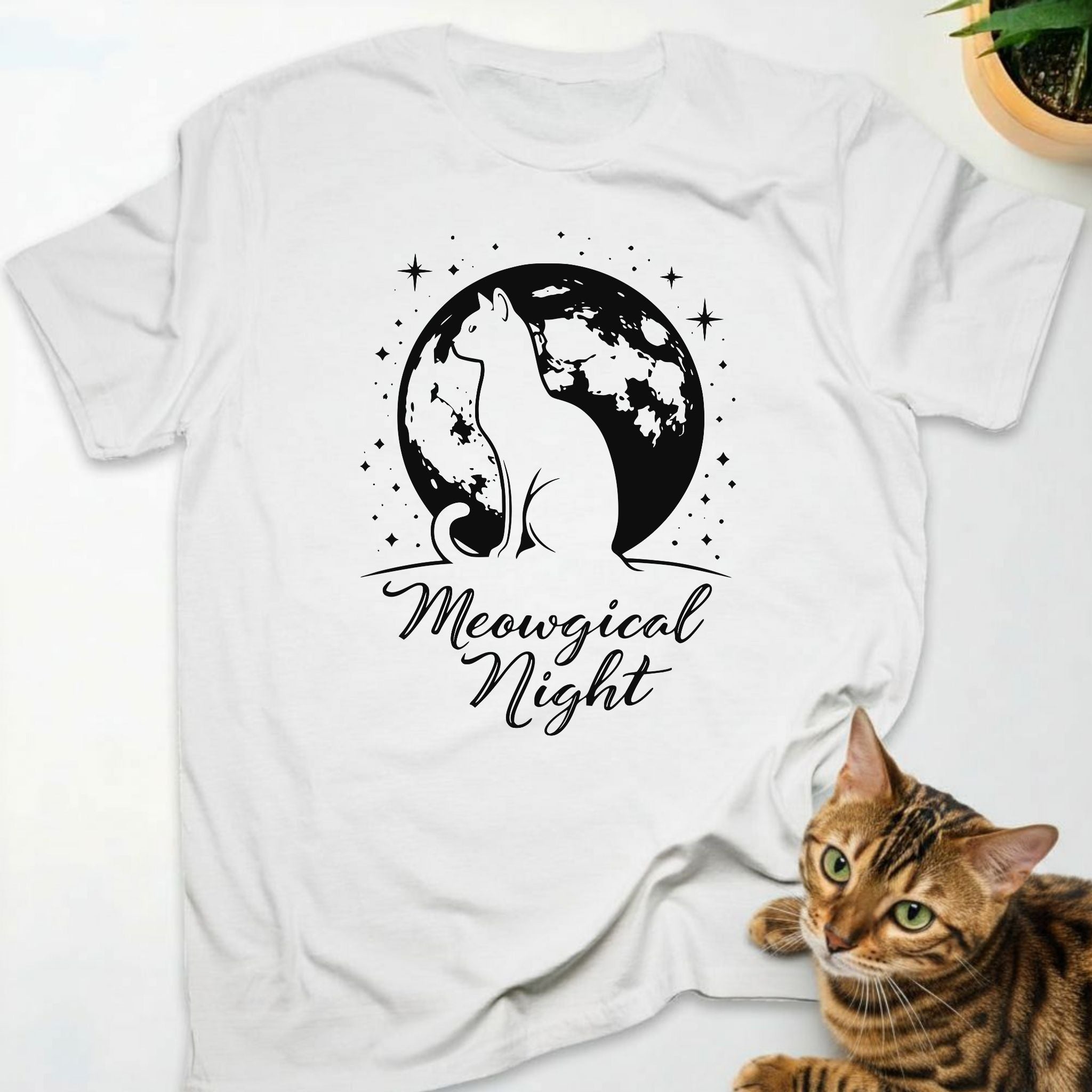 Meowgical Night