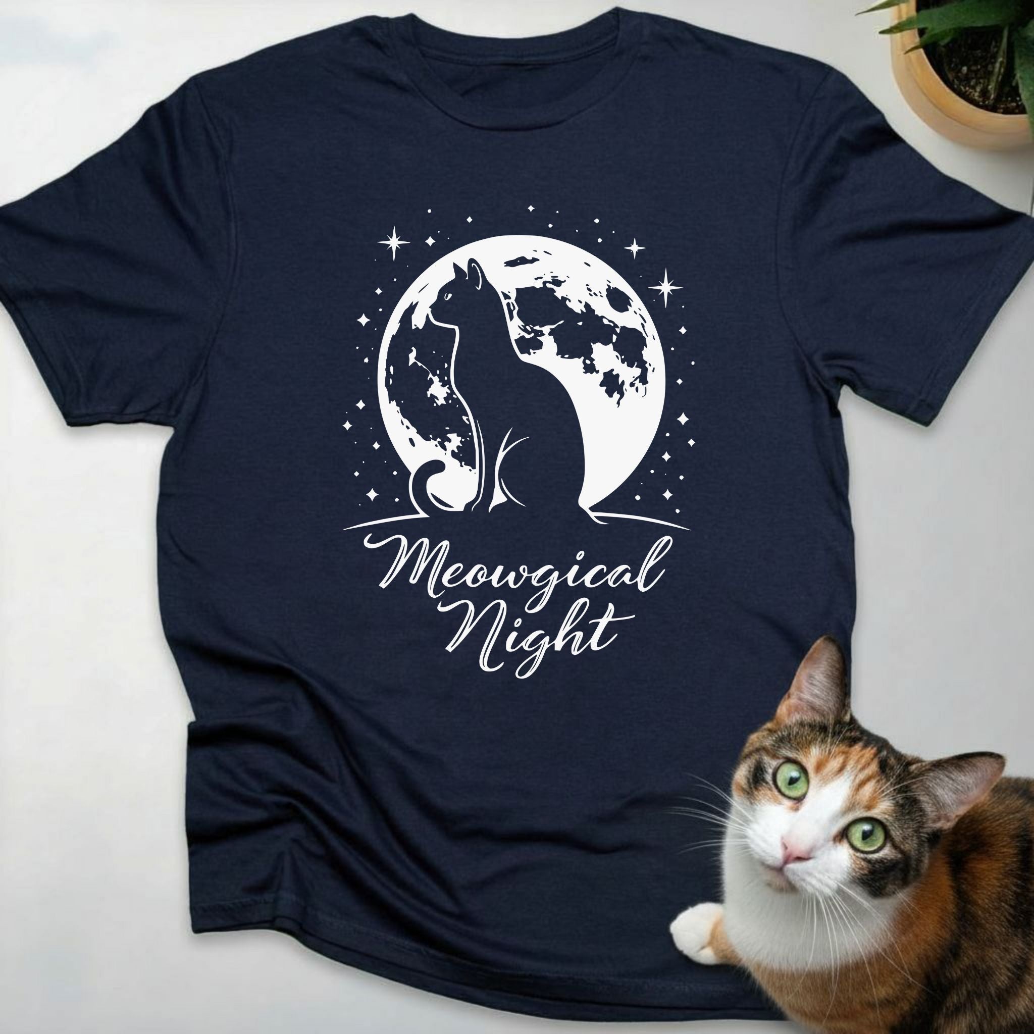 Meowgical Night