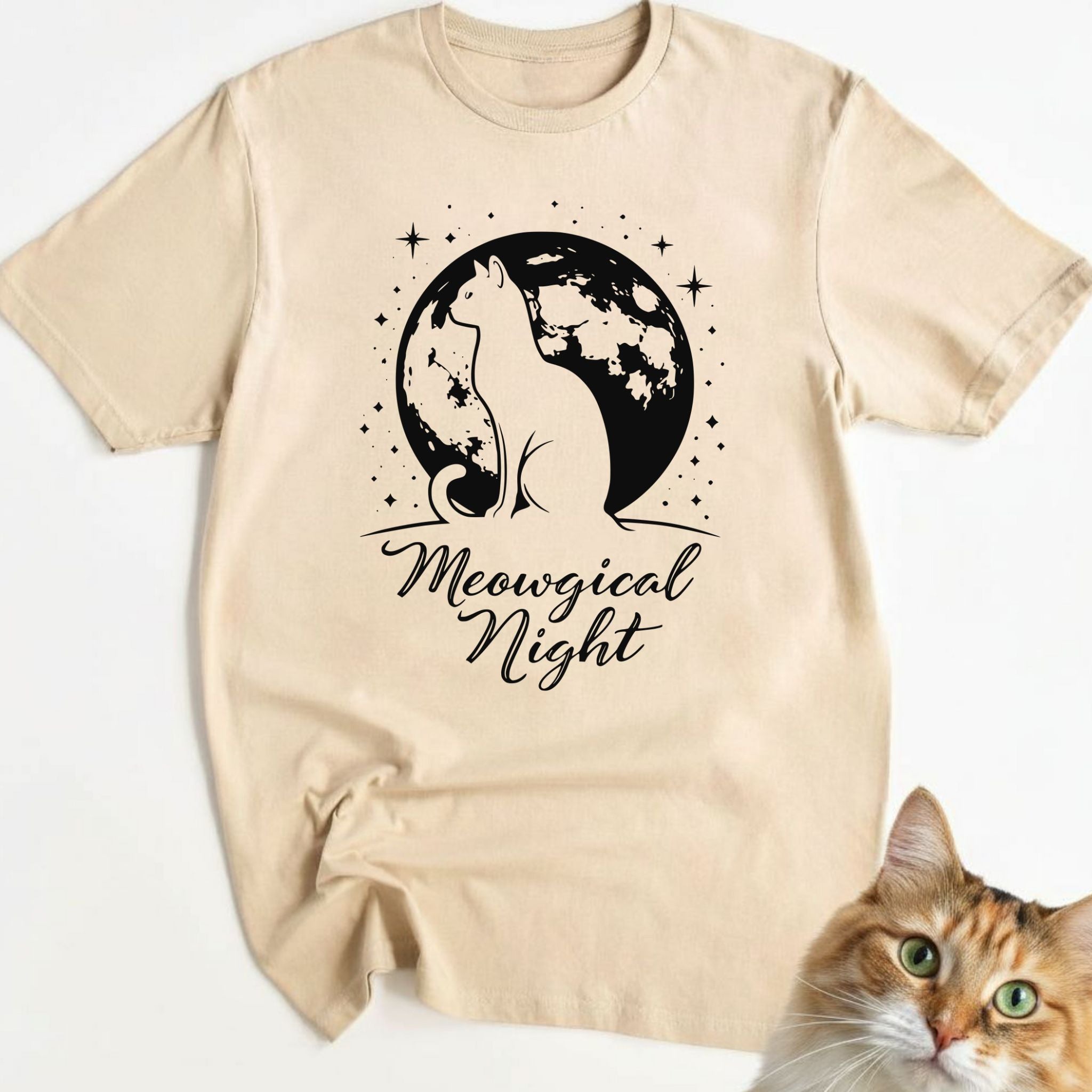 Meowgical Night