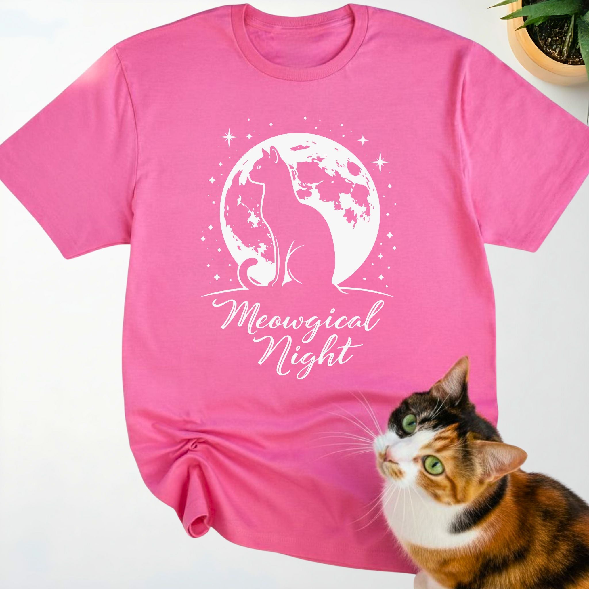 Meowgical Night