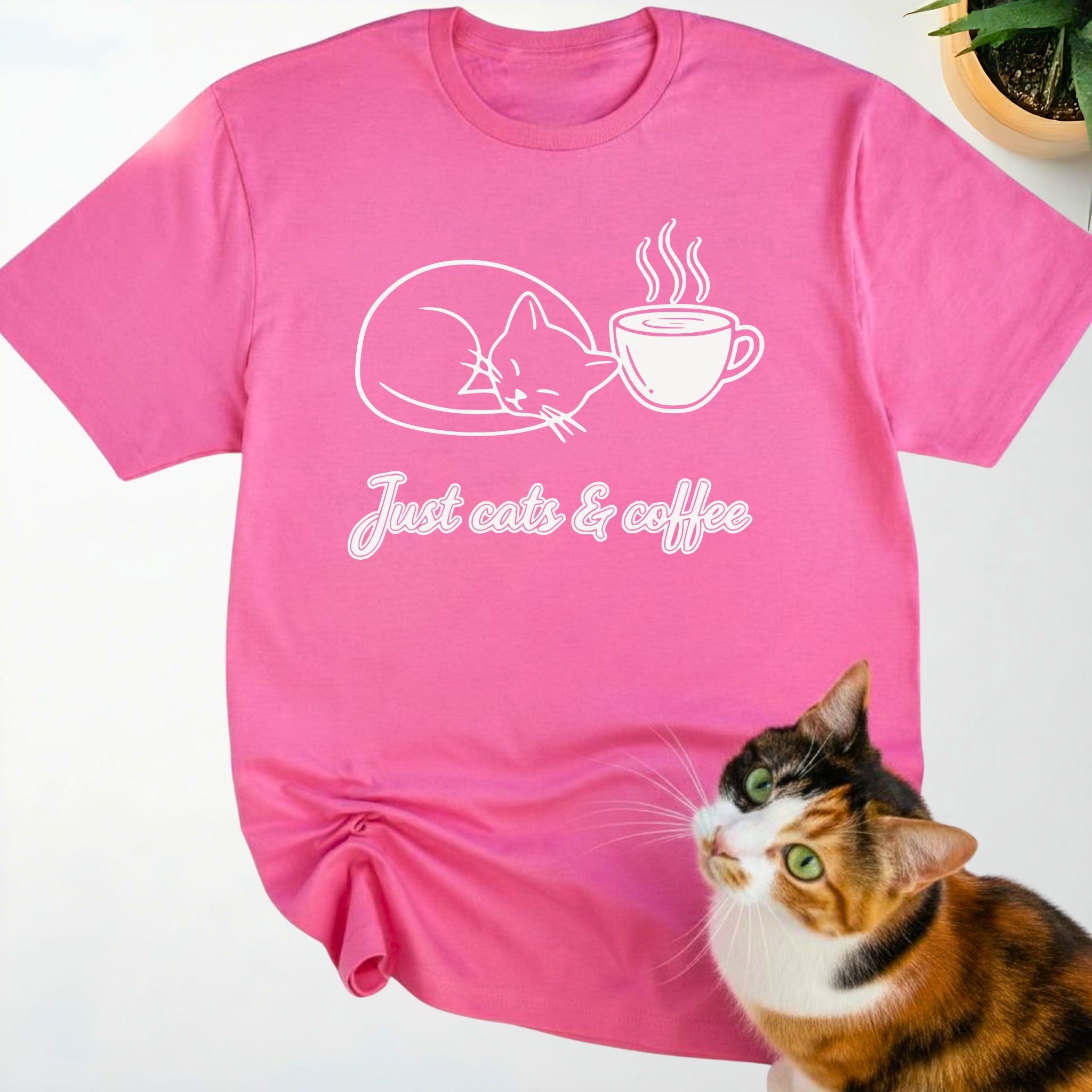 Just Cats & Coffee