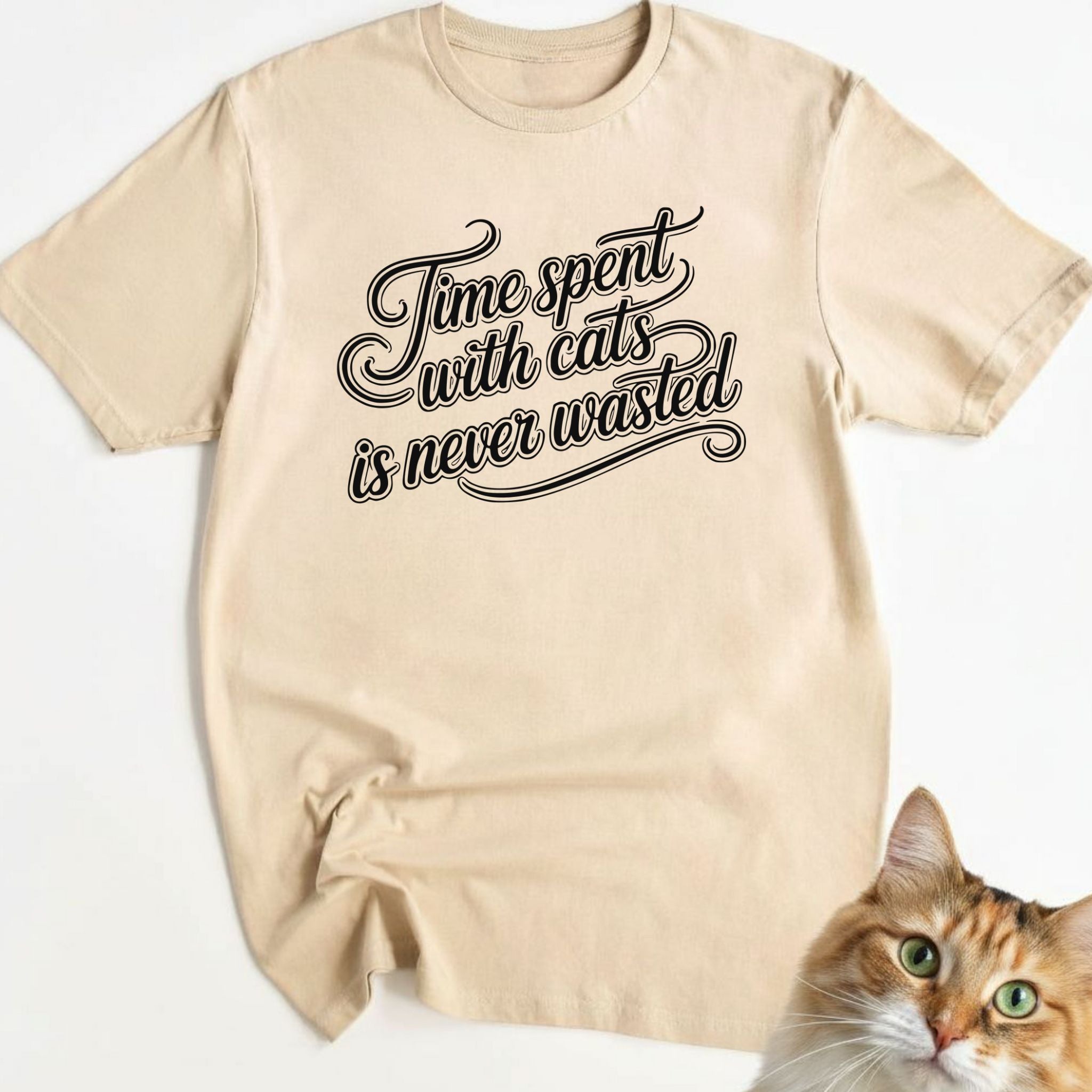 Time Spent With Cats Is Never Wasted