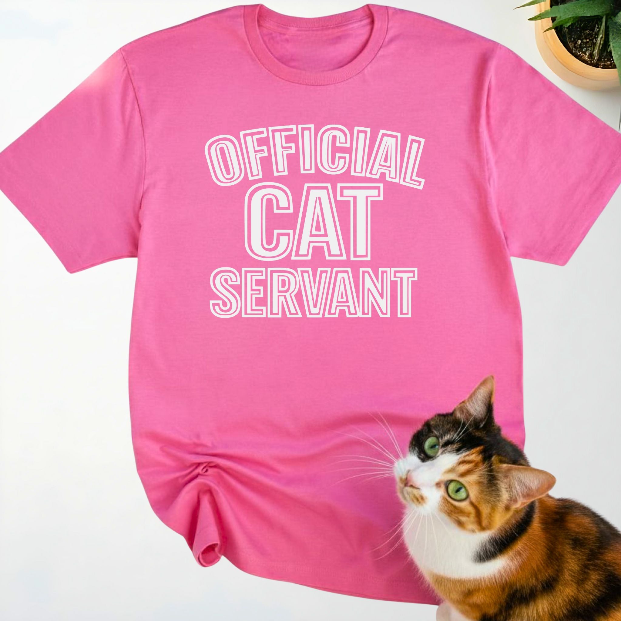Official Cat Servant