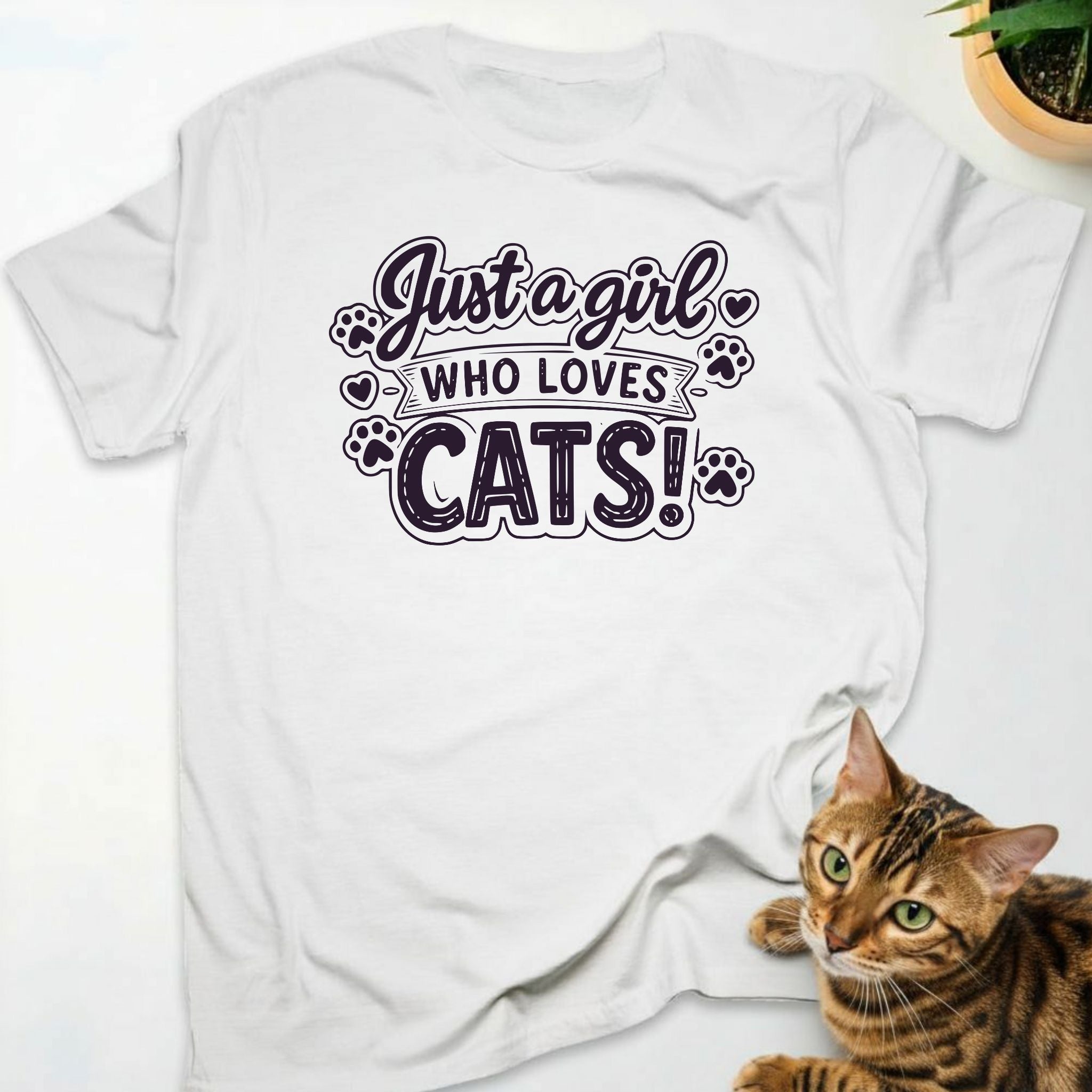 Just a girl who loves cats!