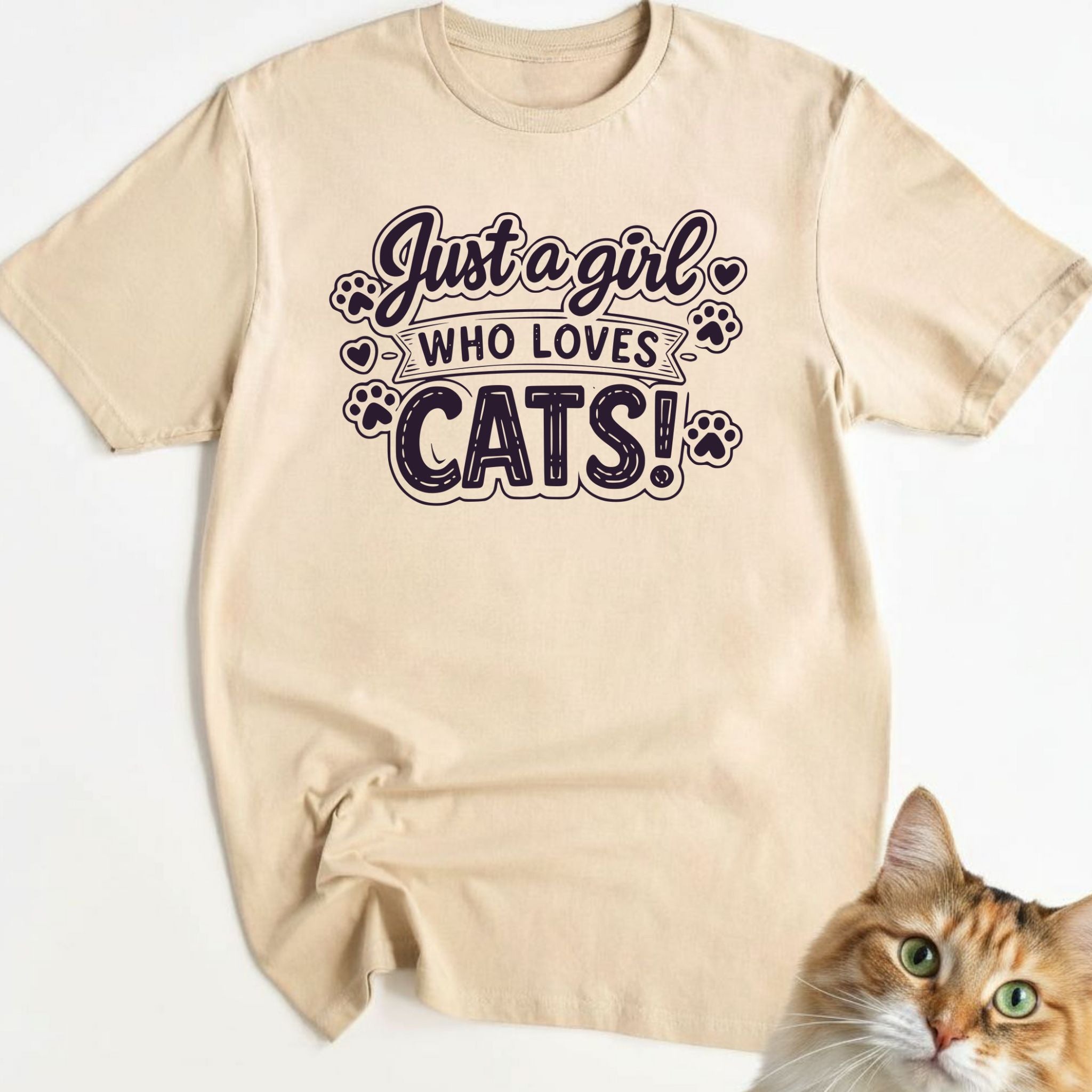 Just a girl who loves cats!