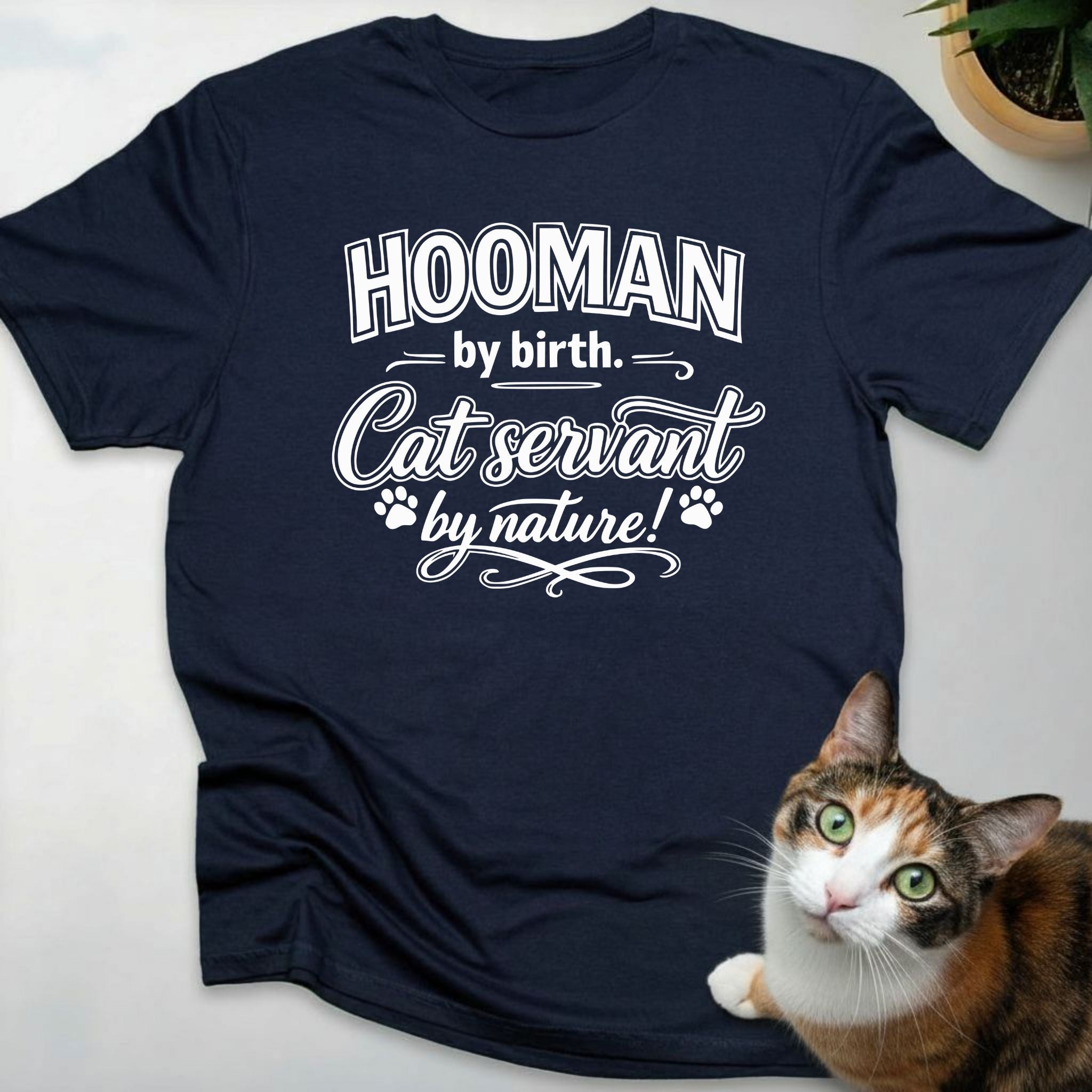 Hooman by birth. Cat servant by nature!
