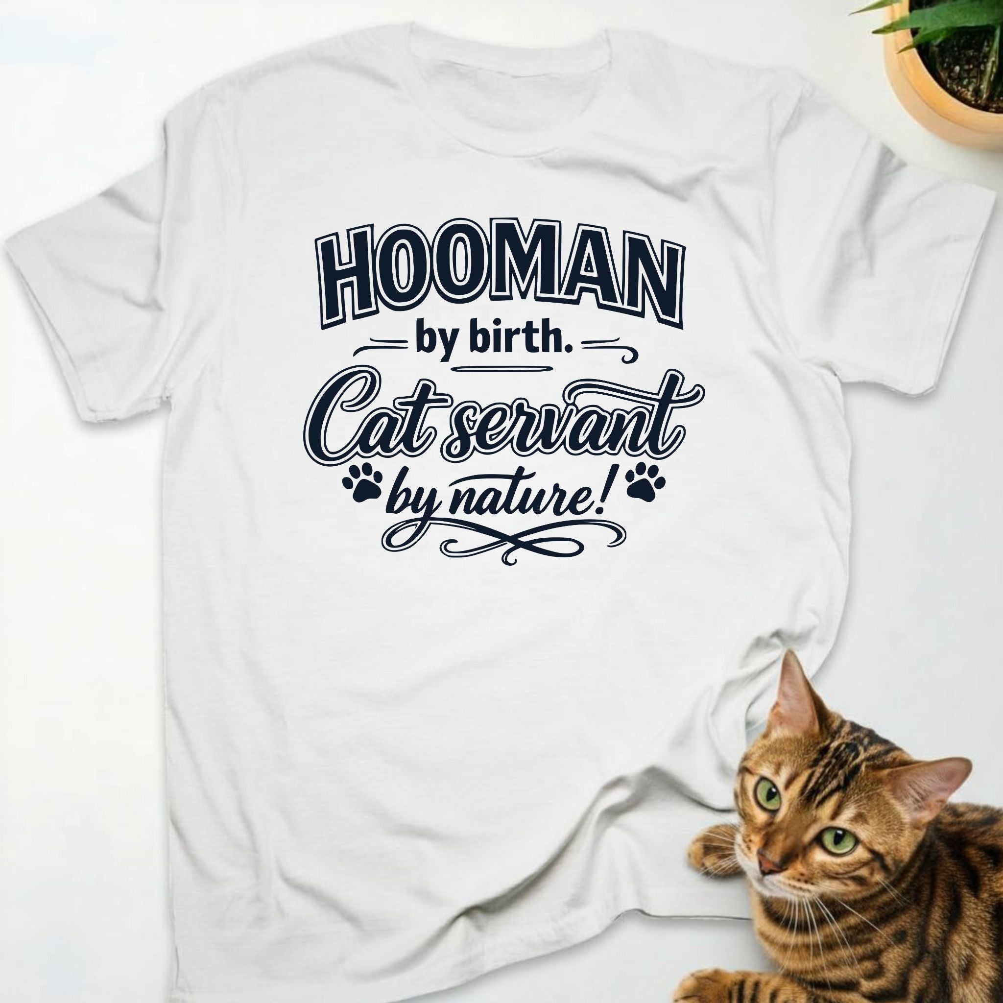 Hooman by birth. Cat servant by nature!