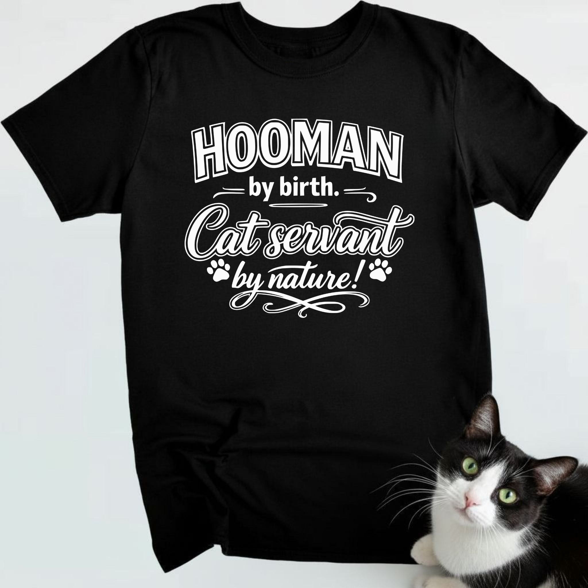 Hooman by birth. Cat servant by nature!