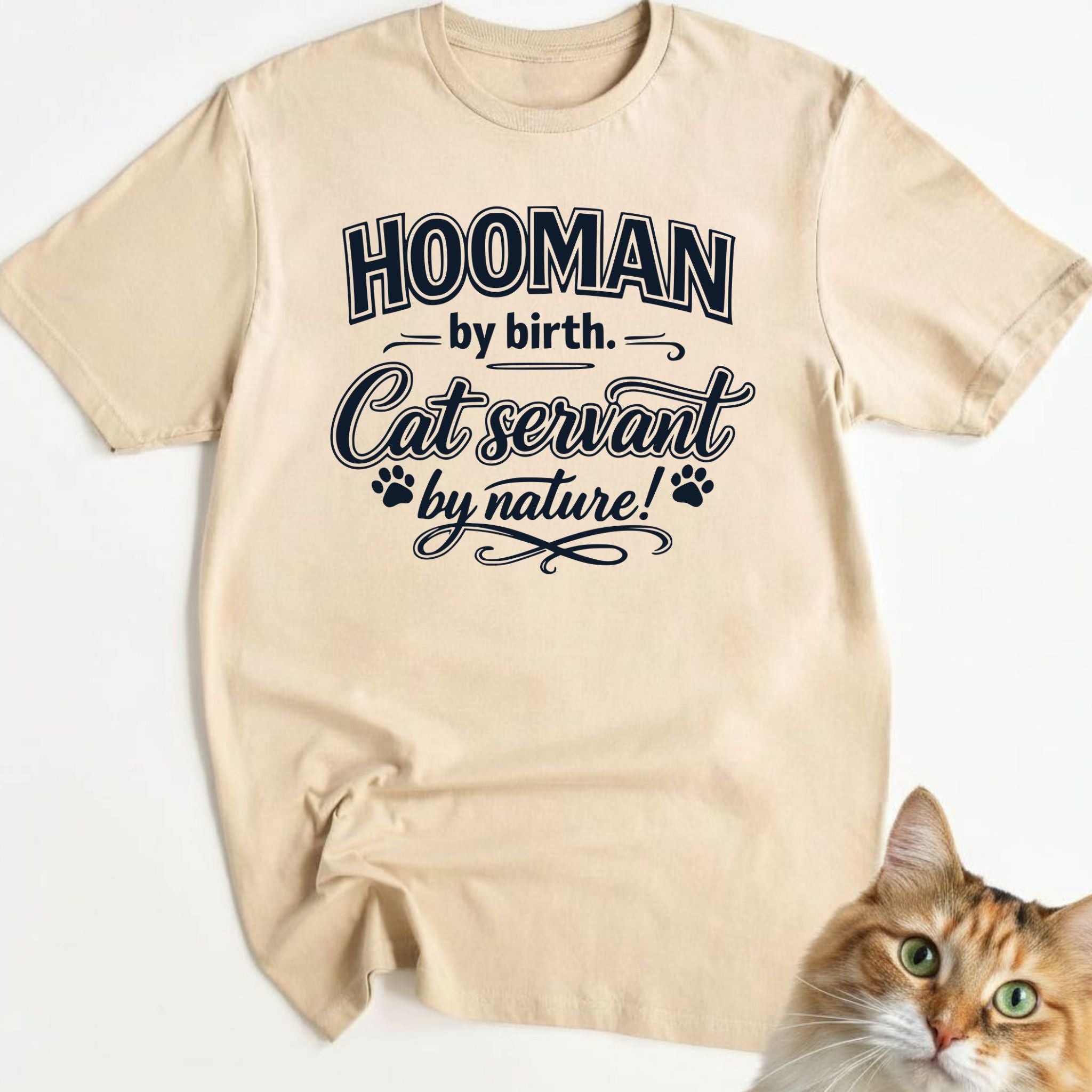 Hooman by birth. Cat servant by nature!