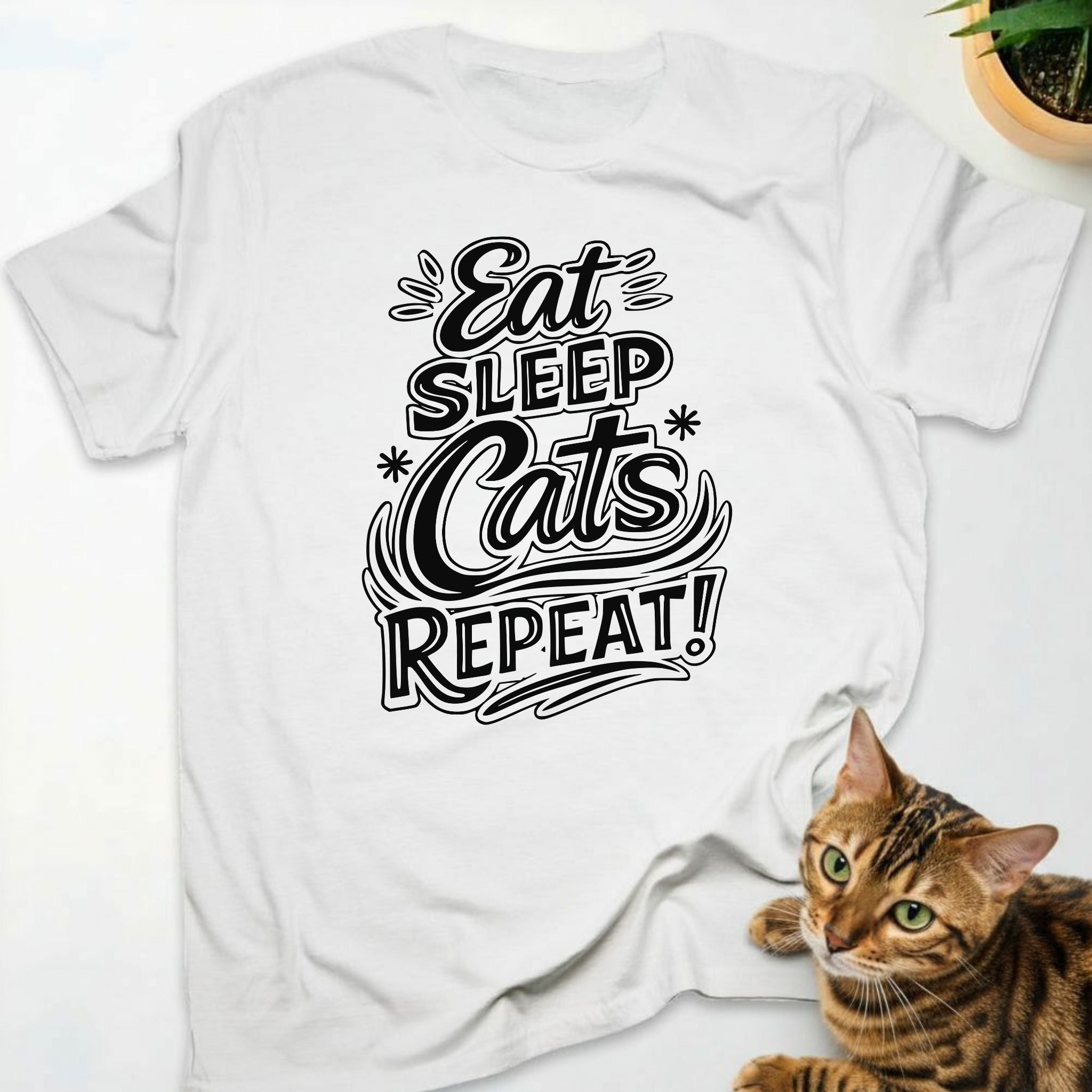 Eat, sleep, cats, repeat!
