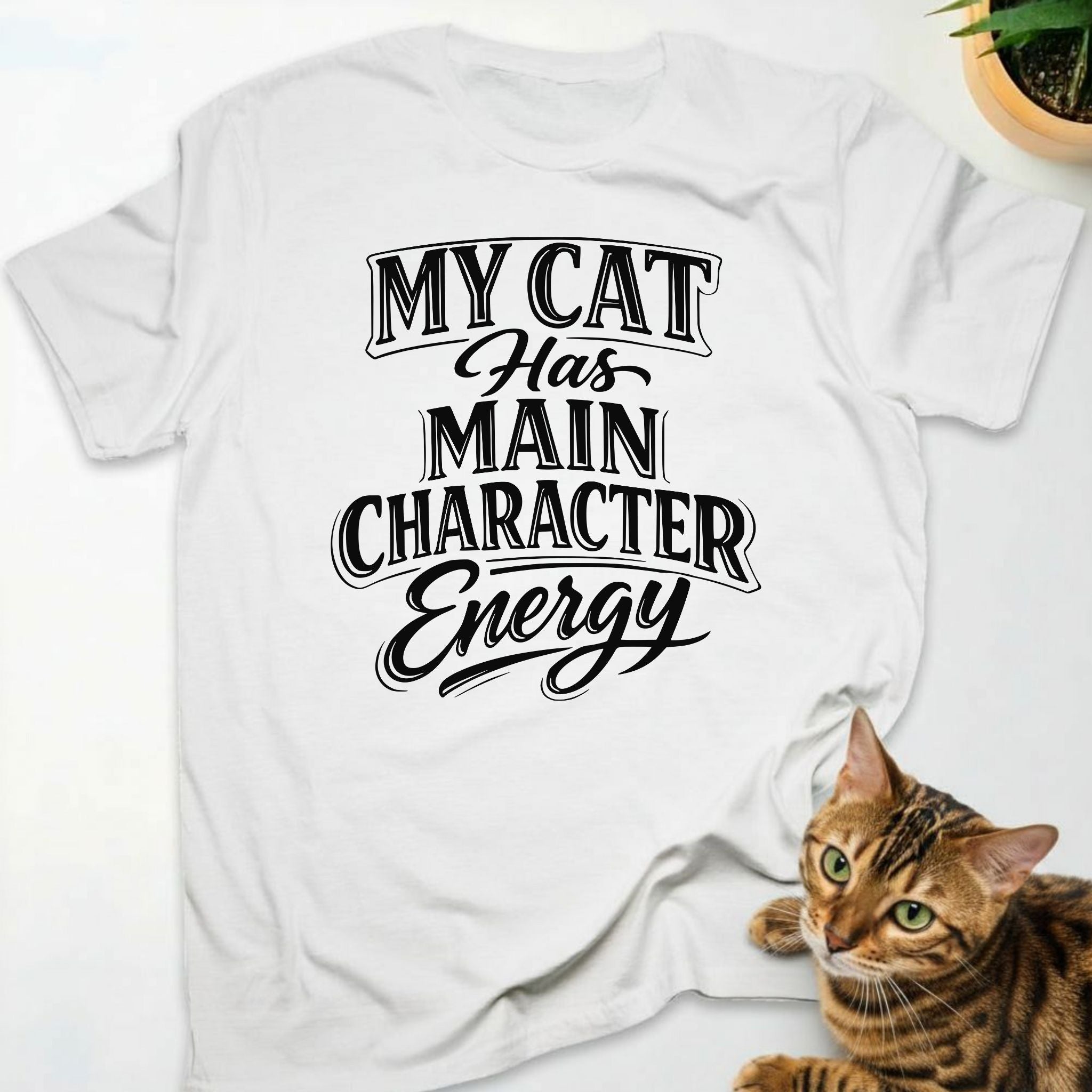 My cat has main character energy