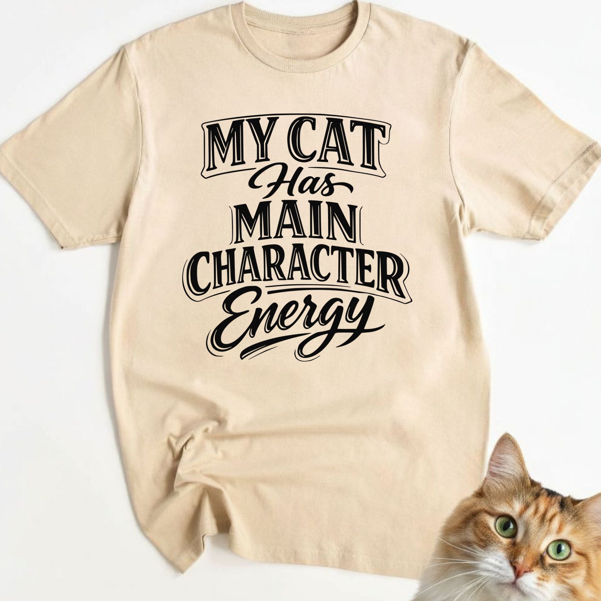 My cat has main character energy