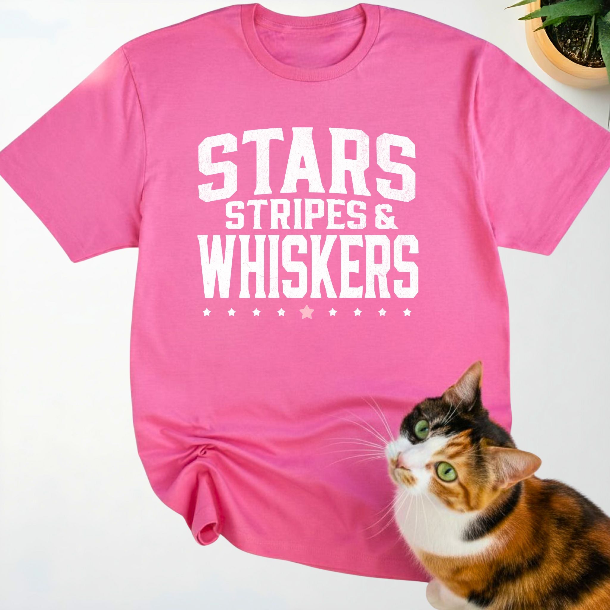 Stars, stripes & whiskers