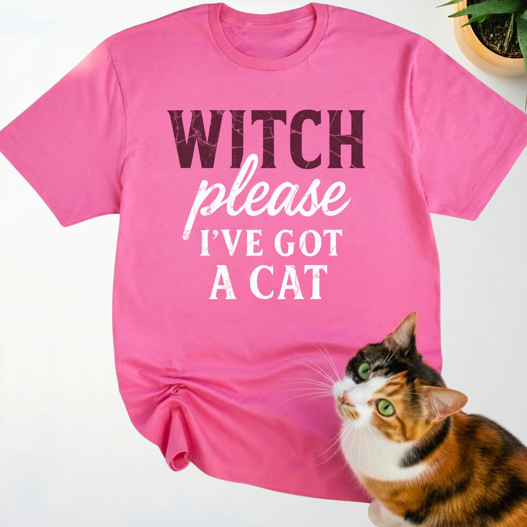 Witch Please, I’ve Got a Cat