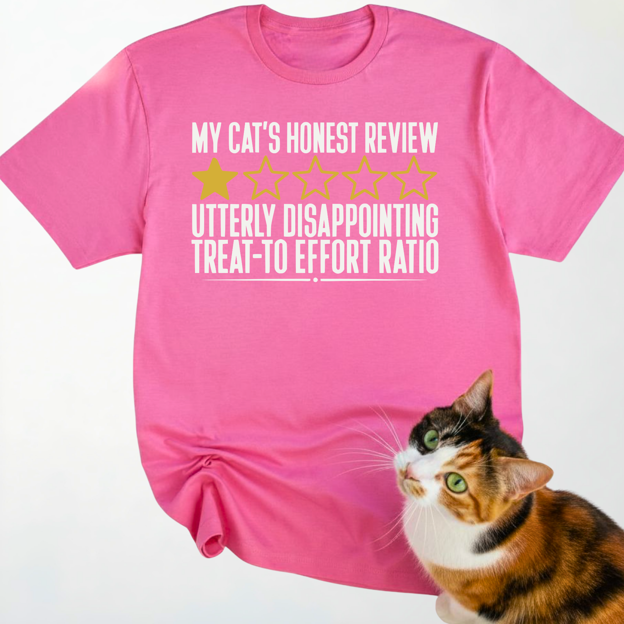 Disappointing Treat-To Effort Ratio T-Shirt