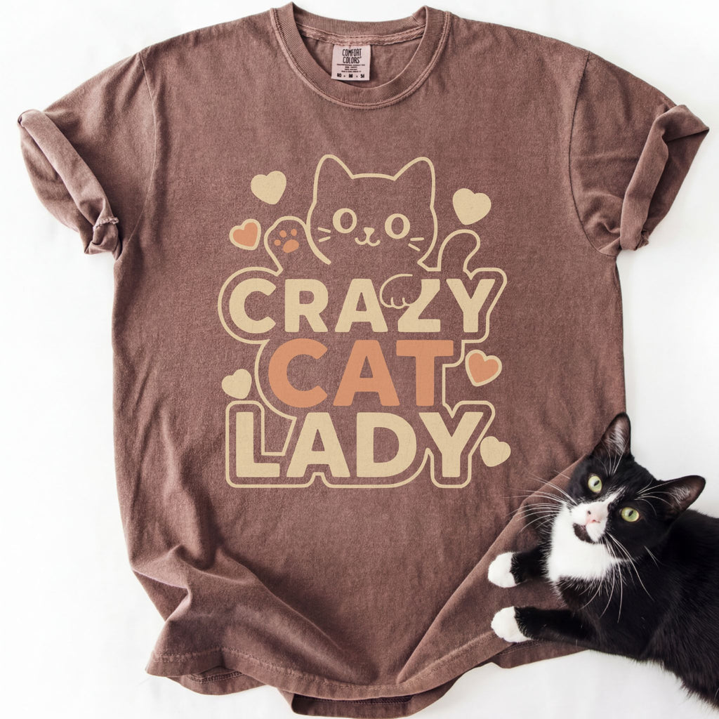 Brown soft-washed funny cat t-shirt with cartoon cat and heart design