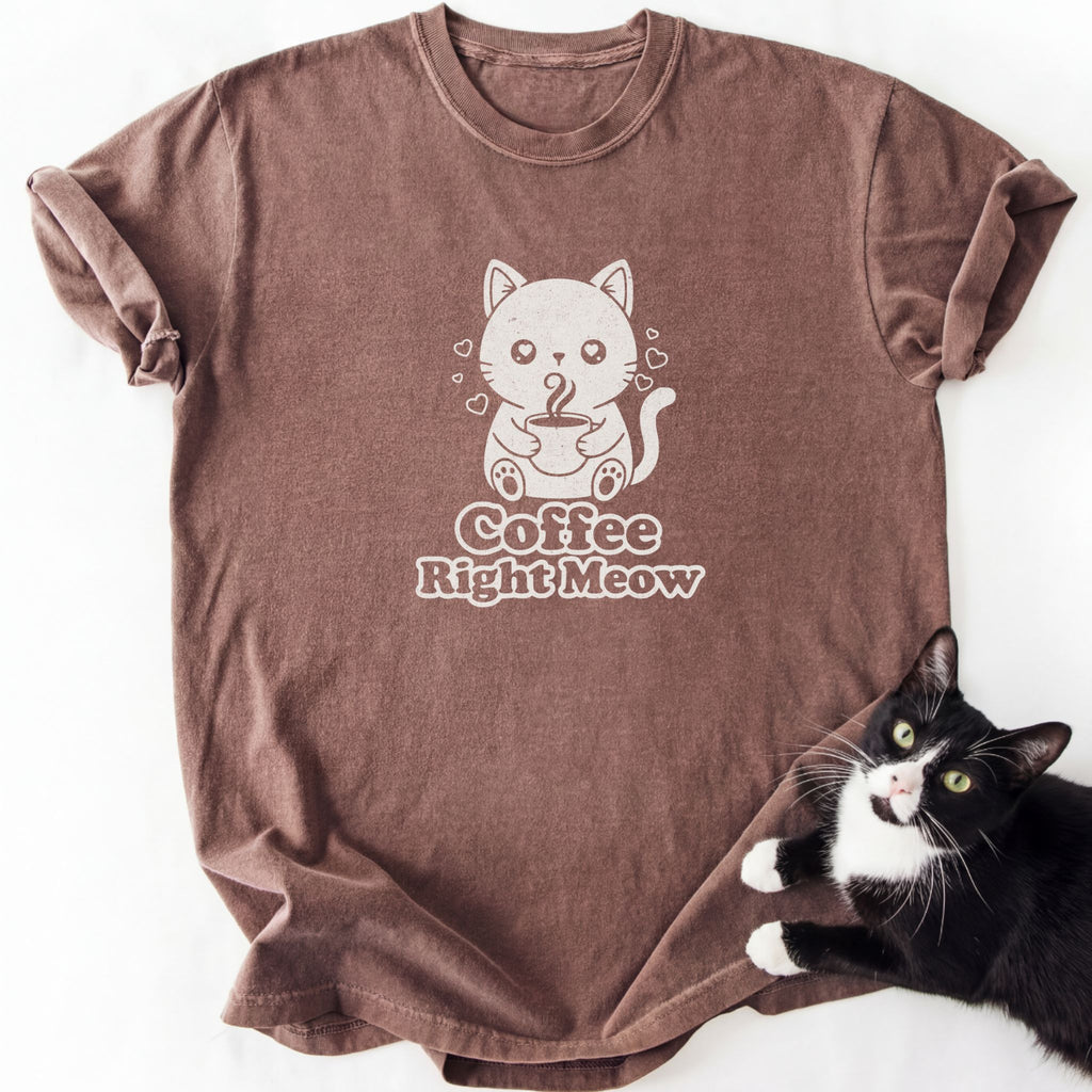 Brown Coffee Right Meow cat mom short sleeve crew neck t-shirt
