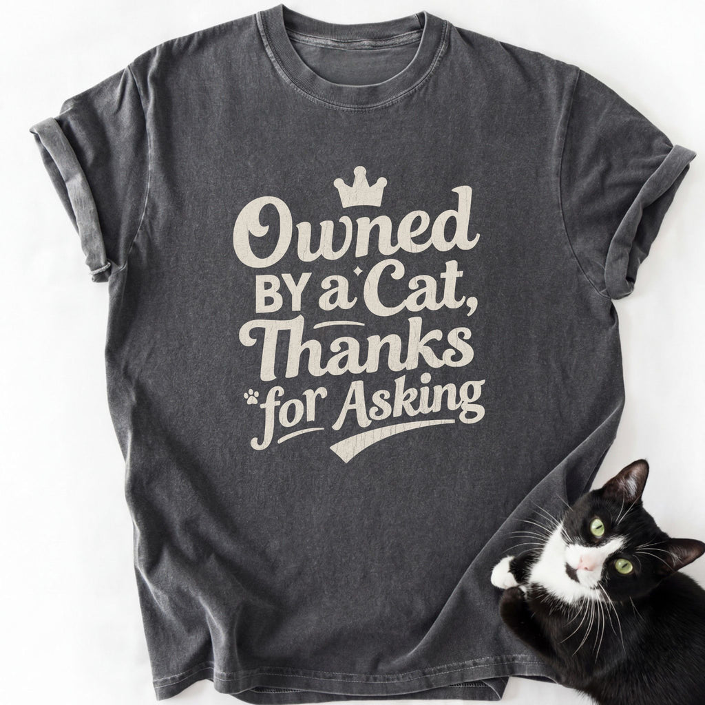 Dark gray heathered cat lover t-shirt with soft-washed texture