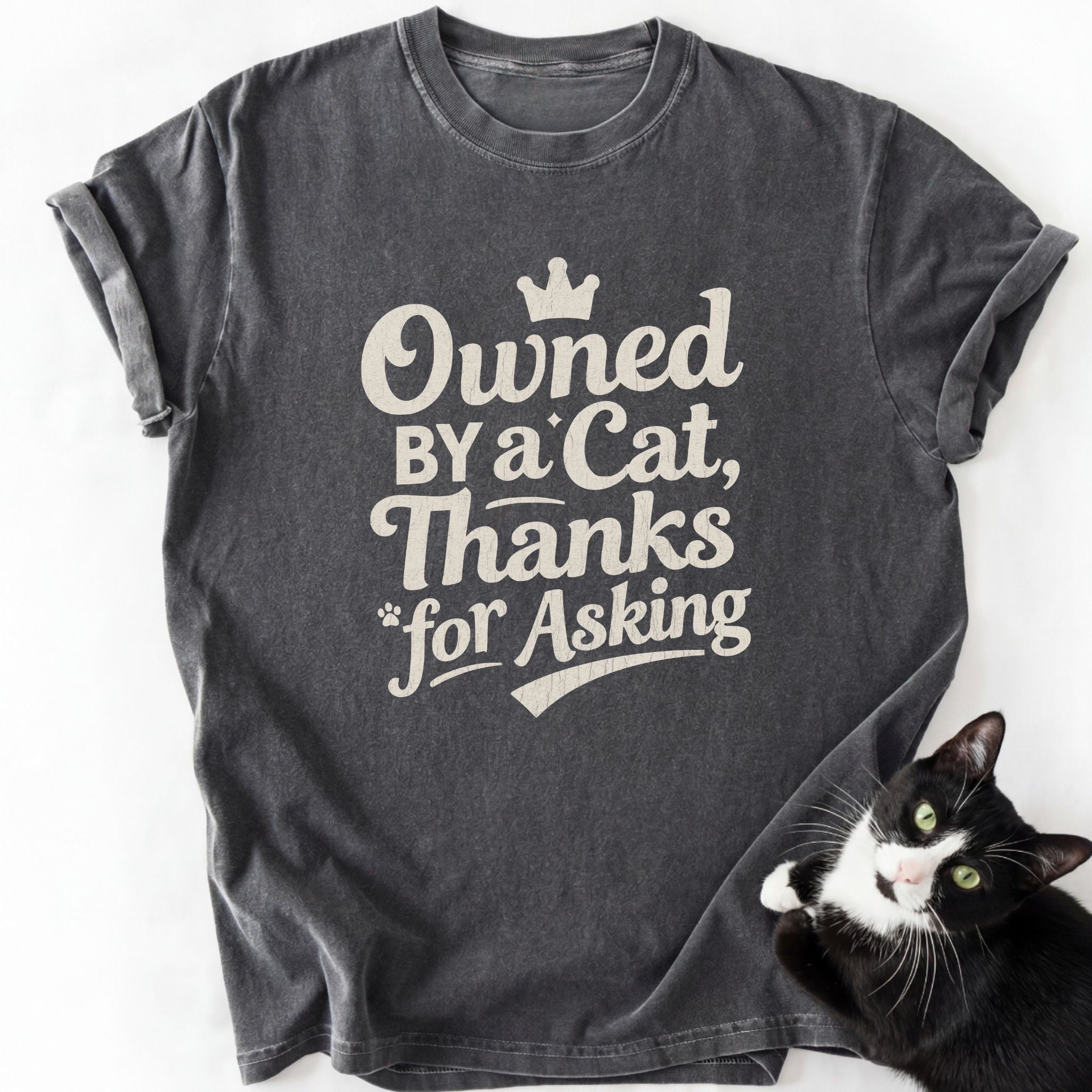Dark gray heathered cat lover t-shirt with soft-washed texture