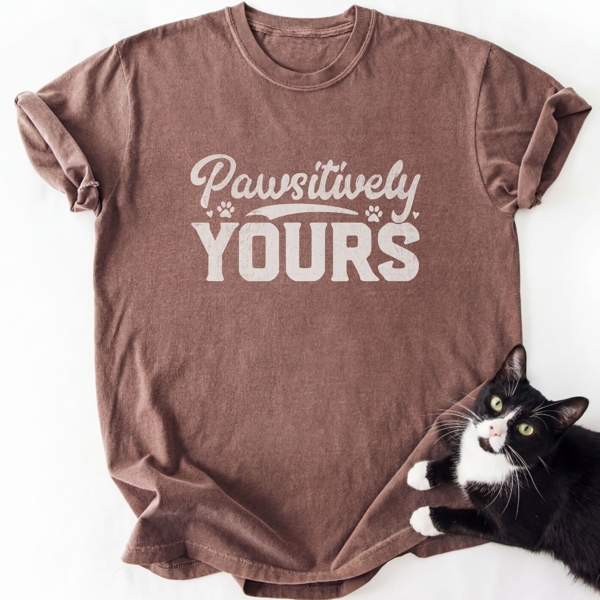 Brown heathered Pawsitively Yours cat aesthetic shirt with heart accents
