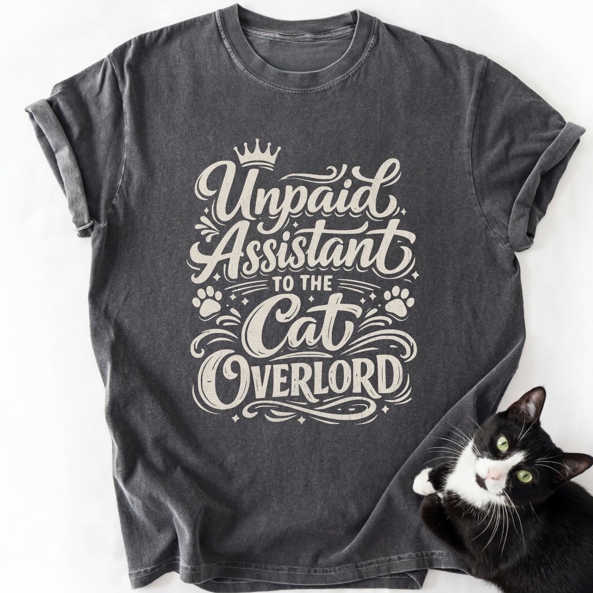 Unpaid Assistant T-Shirt