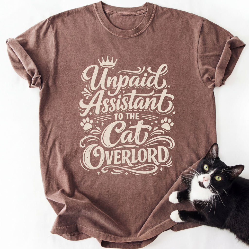 Brown Unpaid Assistant to the Cat Overlord graphic tee with cat print