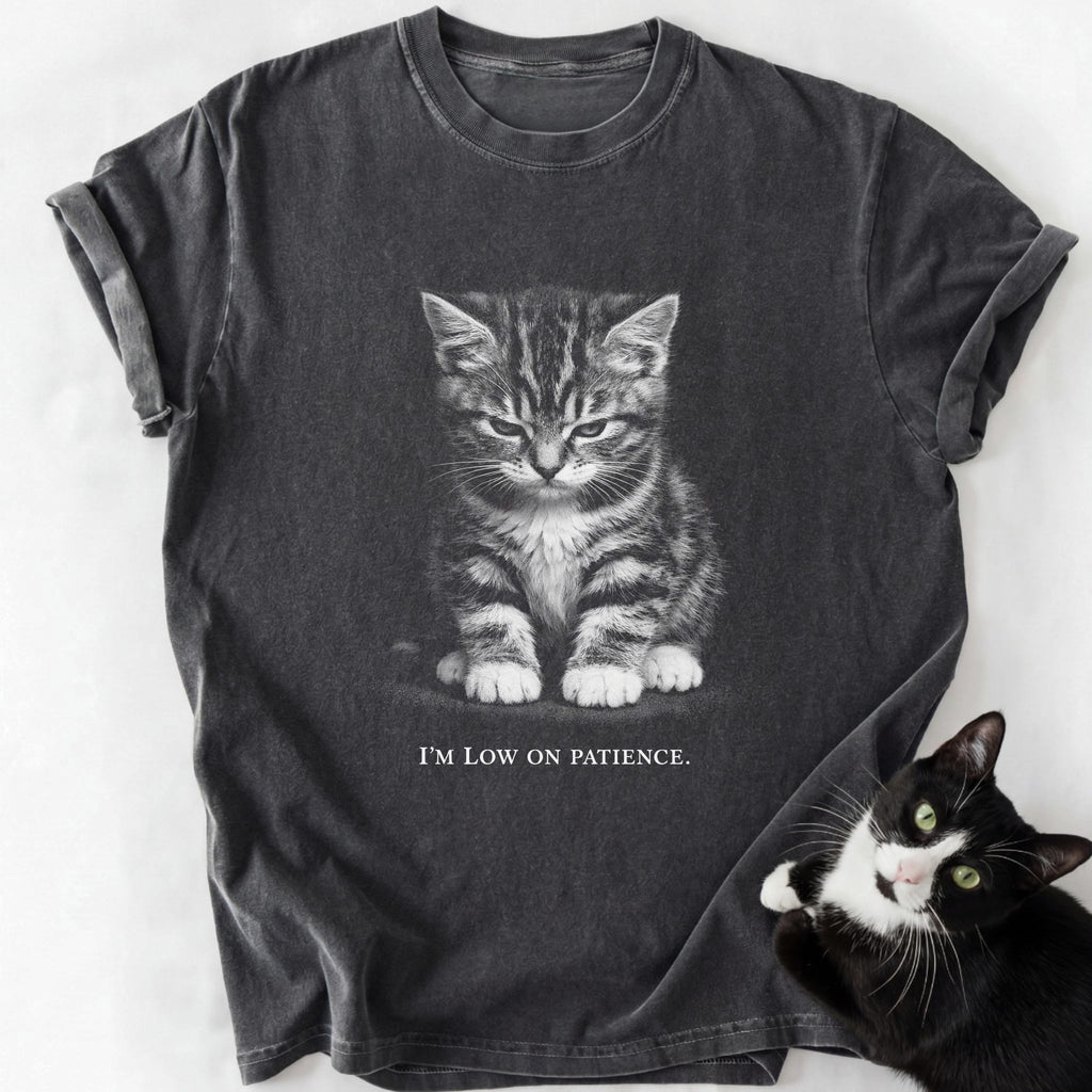 Heathered gray cat lover t-shirt featuring grumpy tabby kitten and patience quote