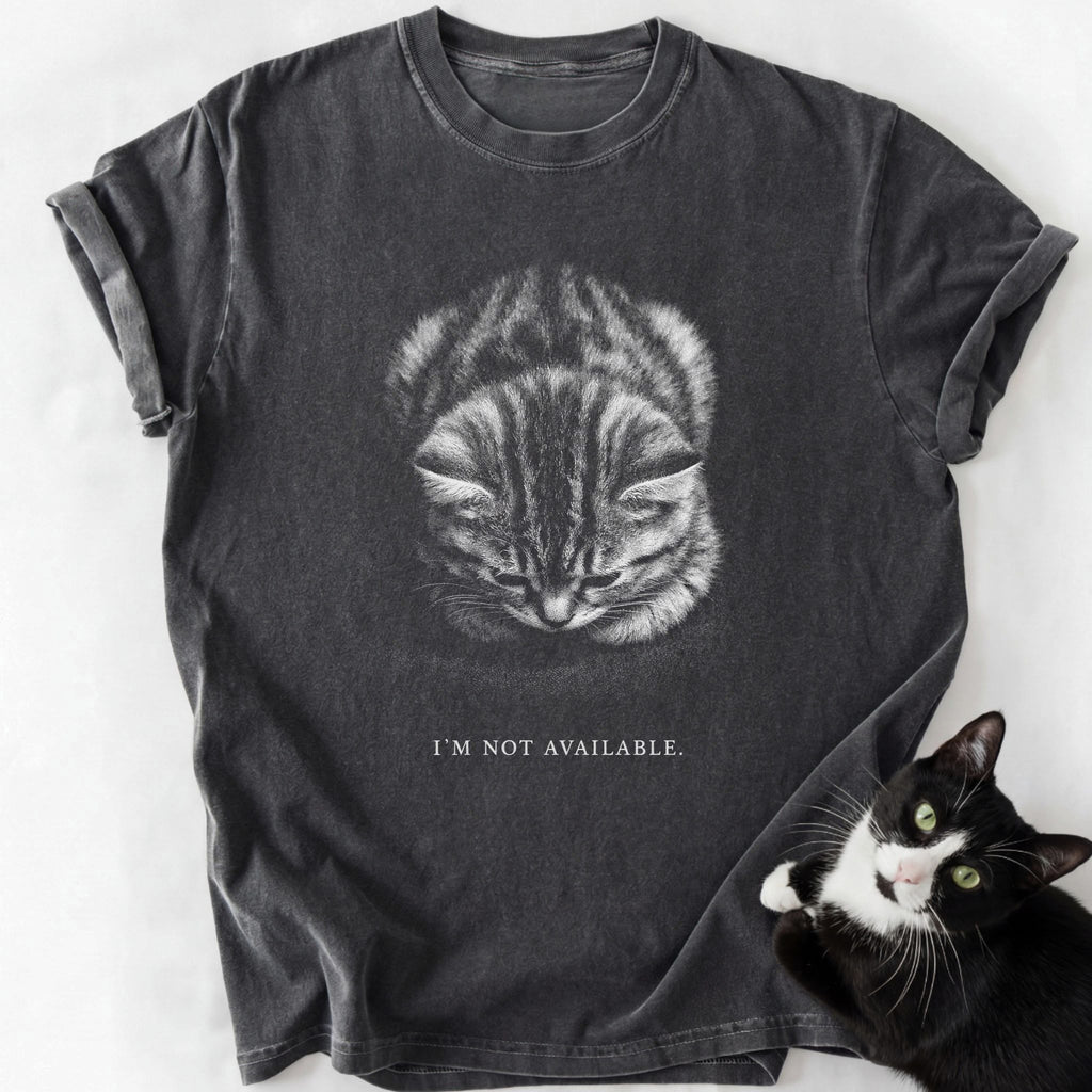 Dark gray garment-dyed t-shirt with sad tabby kitten graphic and 'I'm Not Available' text