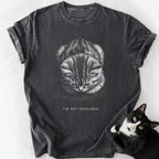 Dark gray garment-dyed t-shirt with sad tabby kitten graphic and 'I'm Not Available' text