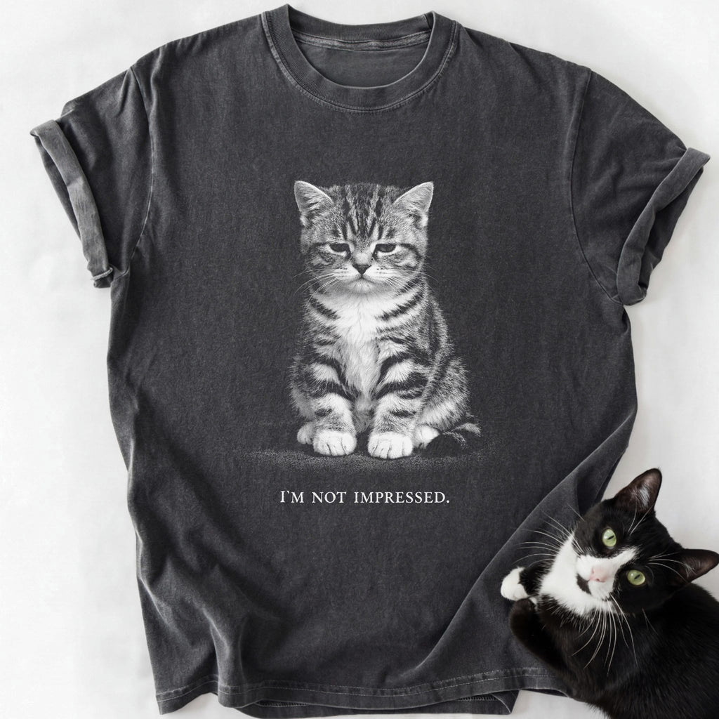 Dark gray garment-dyed cat lover t-shirt featuring 'I'm Not Impressed' kitten print