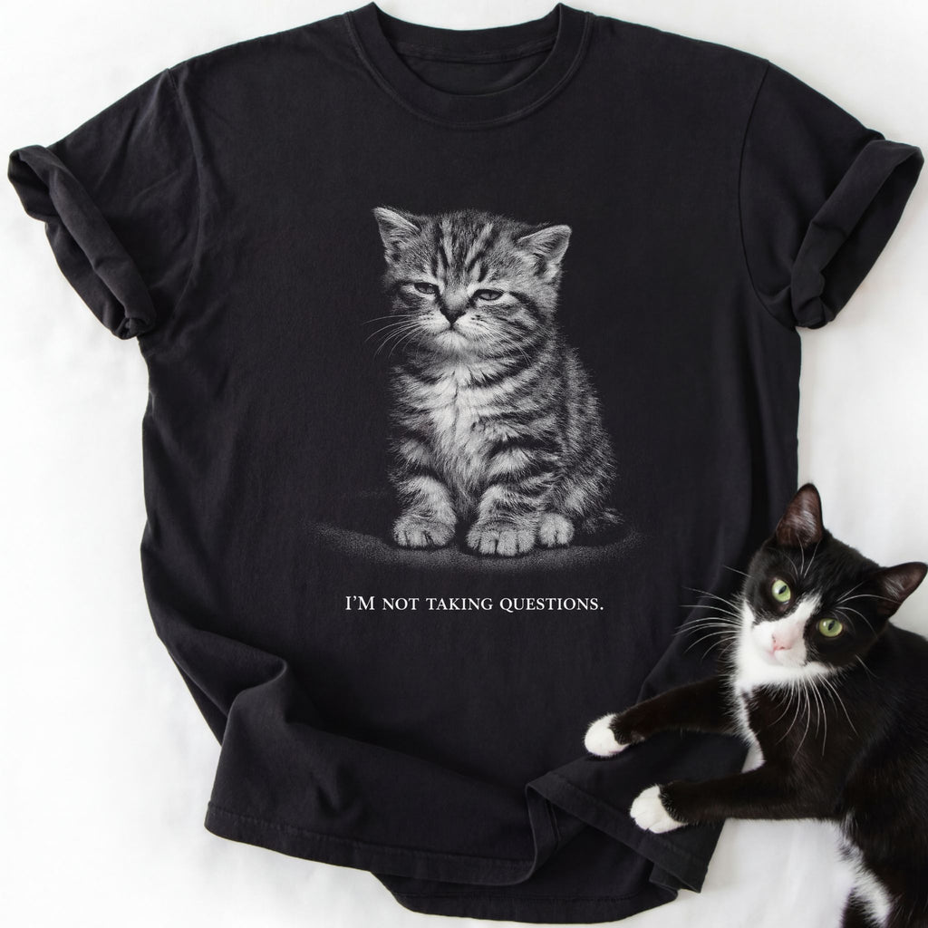 Black garment-dyed cotton tee featuring grumpy cat graphic and humorous 'Not Taking Questions' slogan