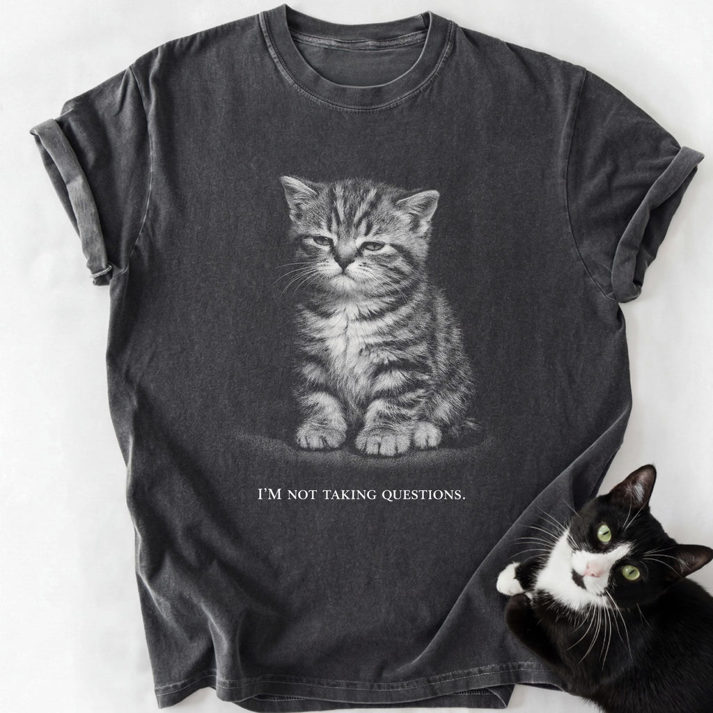 Dark gray Comfort Colors 1717 t-shirt with grumpy tabby kitten and 'I'm Not Taking Questions' text