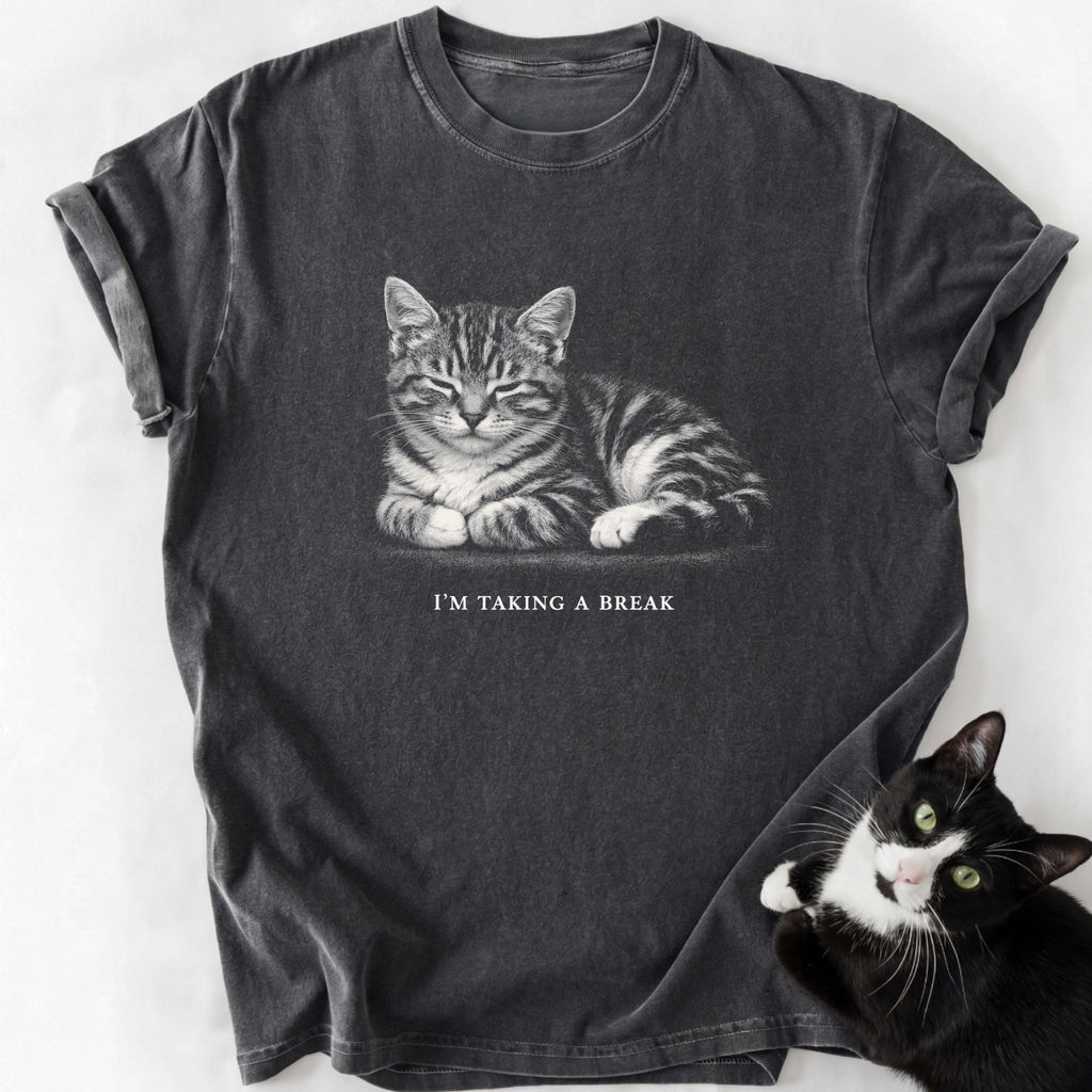 Dark gray heathered I'm Taking A Break cat t-shirt soft-washed