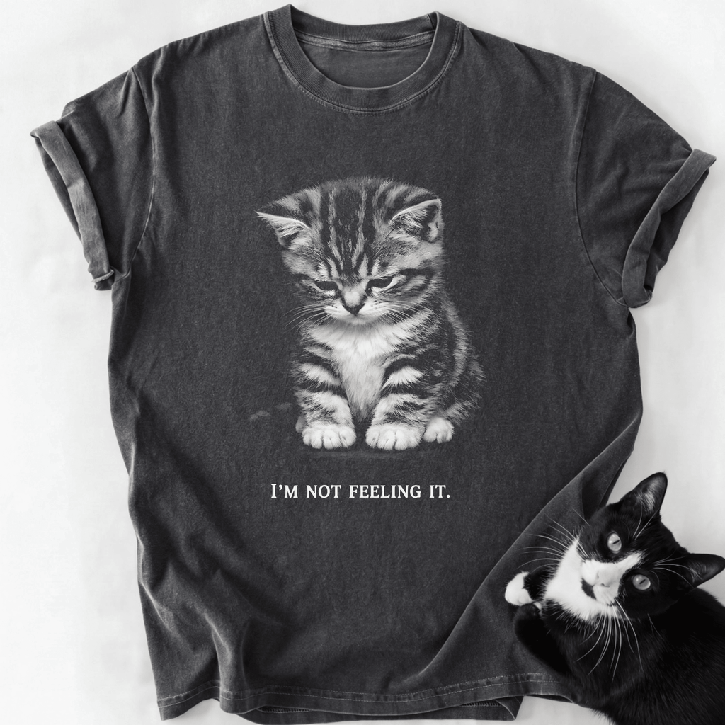 Dark gray garment-dyed t-shirt featuring droopy kitten graphic and 'I'm Not Feeling It' text