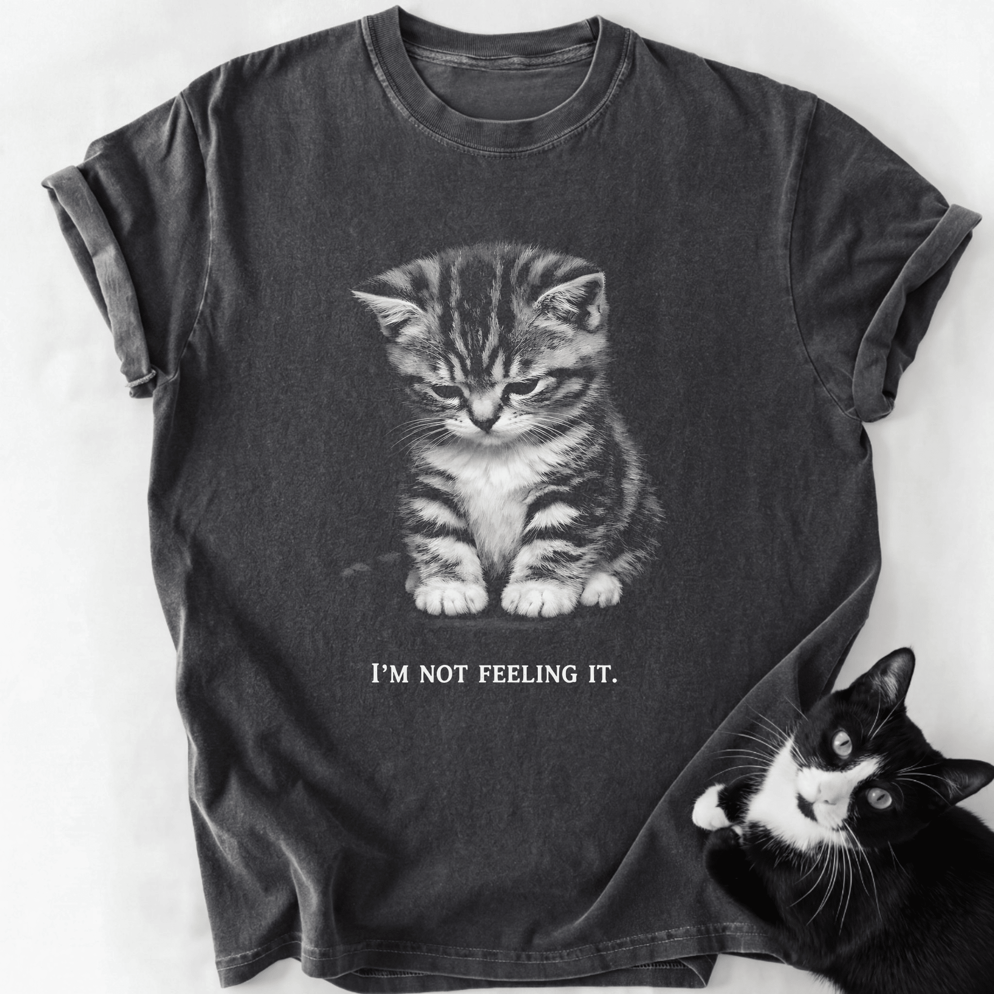Dark gray garment-dyed t-shirt featuring droopy kitten graphic and 'I'm Not Feeling It' text