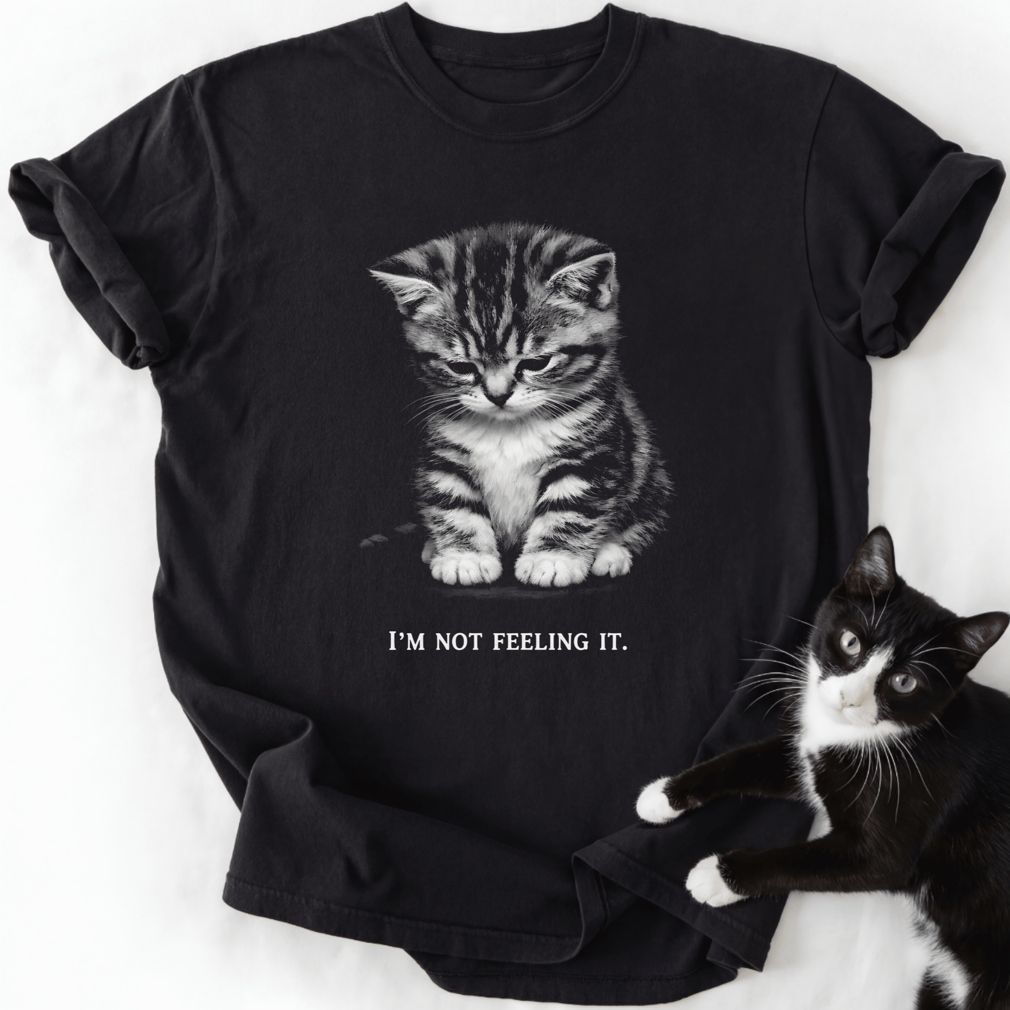 Black I'm Not Feeling It graphic tee with sad tabby kitten design and real cat