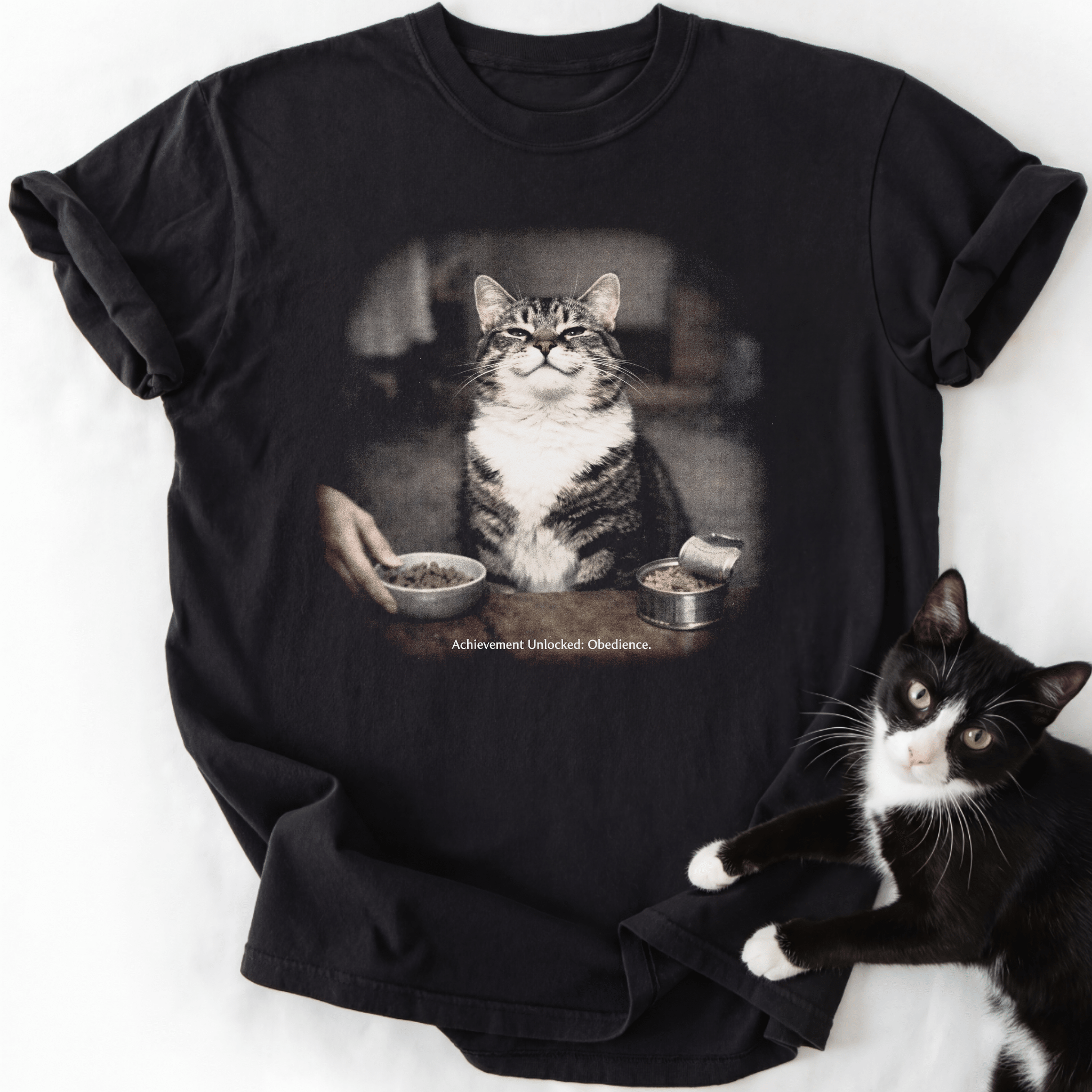 Black vintage cat graphic tee with 'Achievement Unlocked Obedience' text and relaxed fit